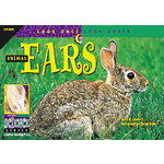 CREATIVE TEACHING PRESS Look Once, Look Again: Animal Ears (Level P)