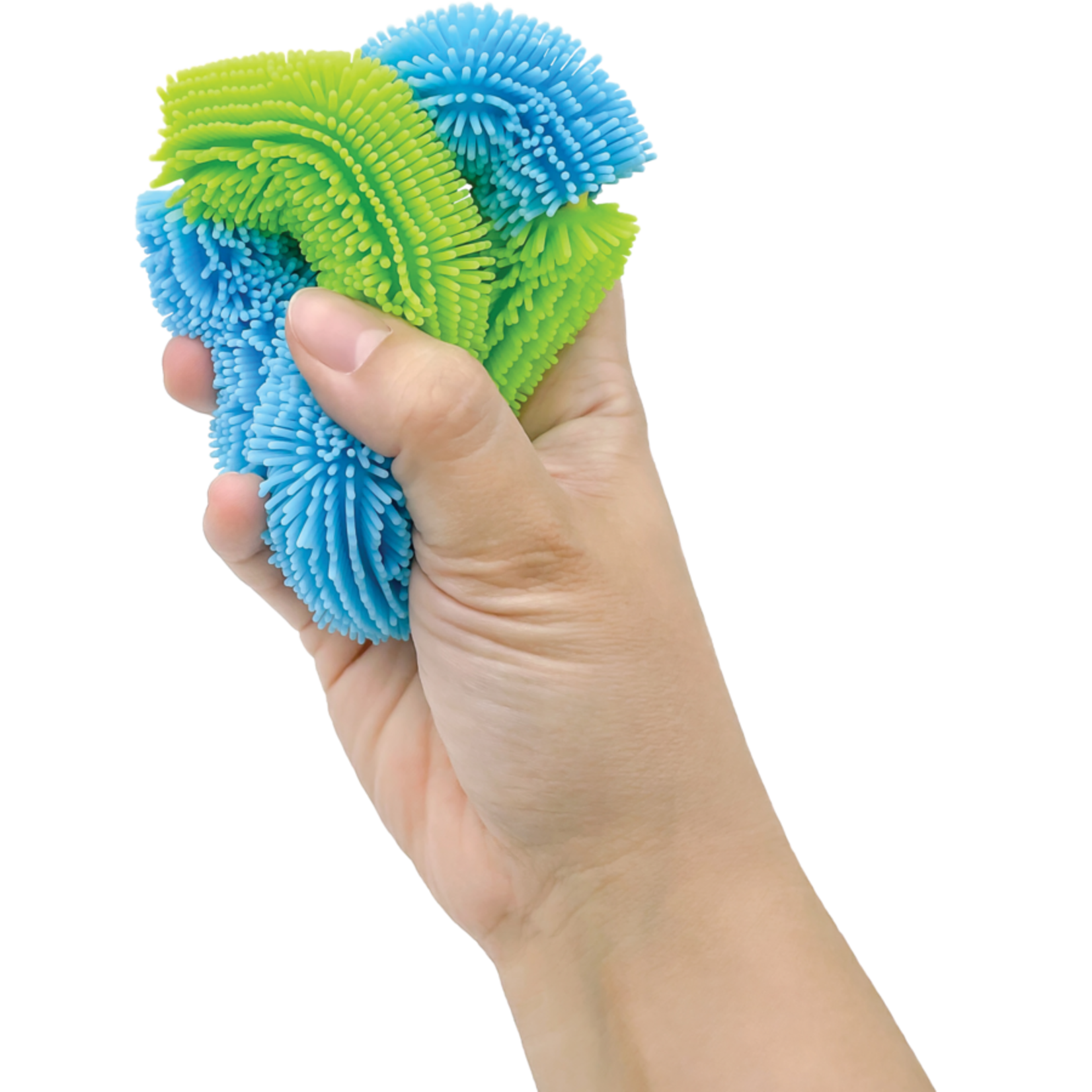 TEACHER CREATED RESOURCES Twistle Squish Aqua and Lime