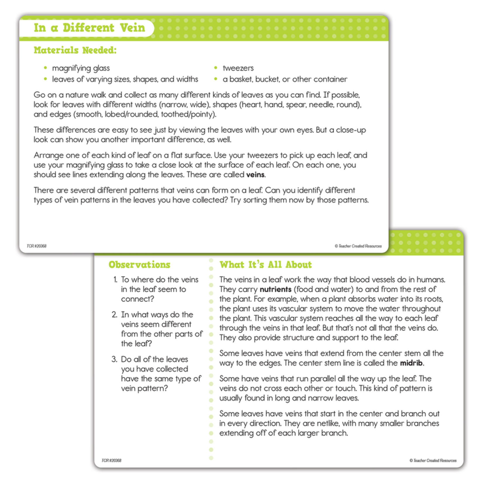 TEACHER CREATED RESOURCES Up-Close Science: Magnifying Glasses & Tweezers Activity Set