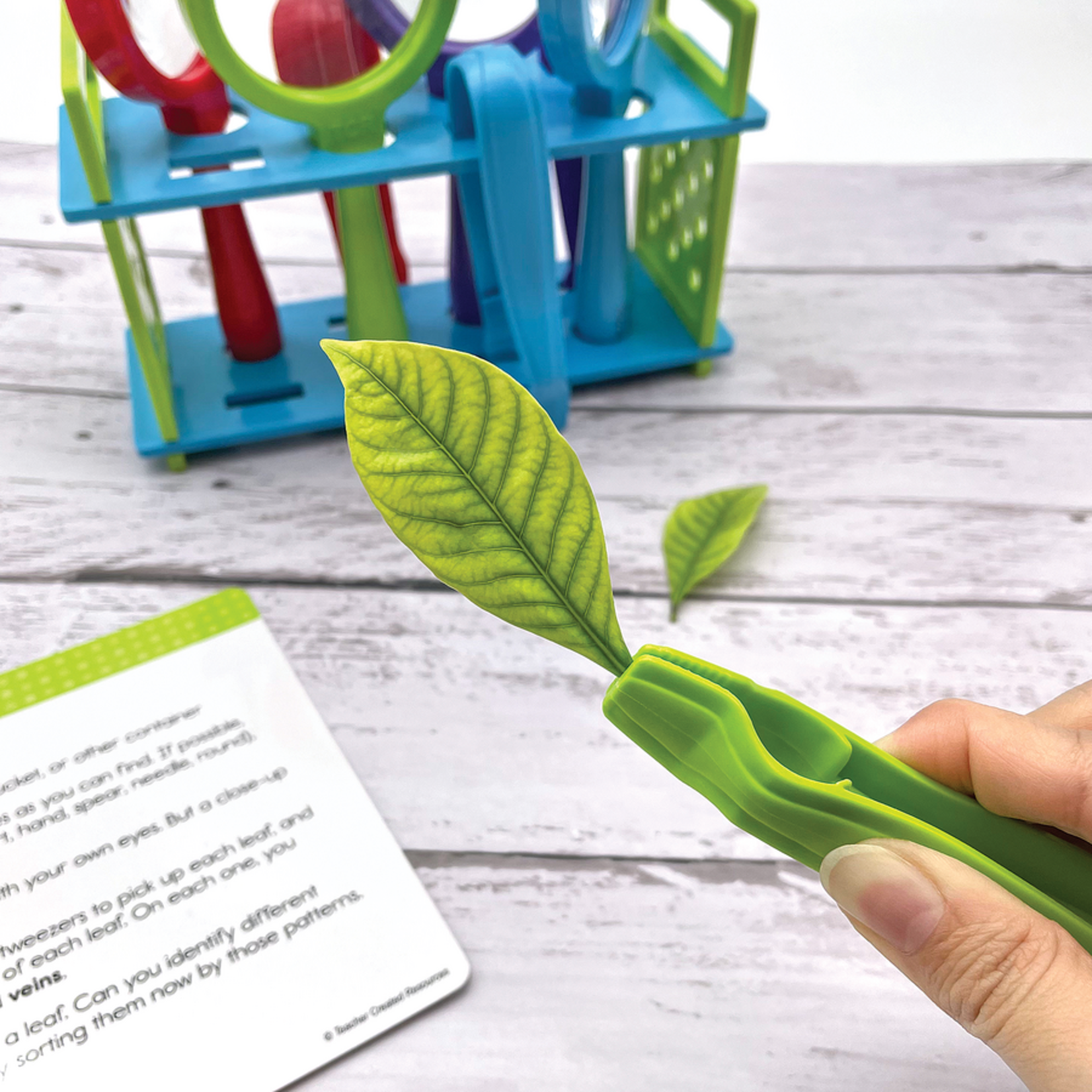 TEACHER CREATED RESOURCES Up-Close Science: Magnifying Glasses & Tweezers Activity Set