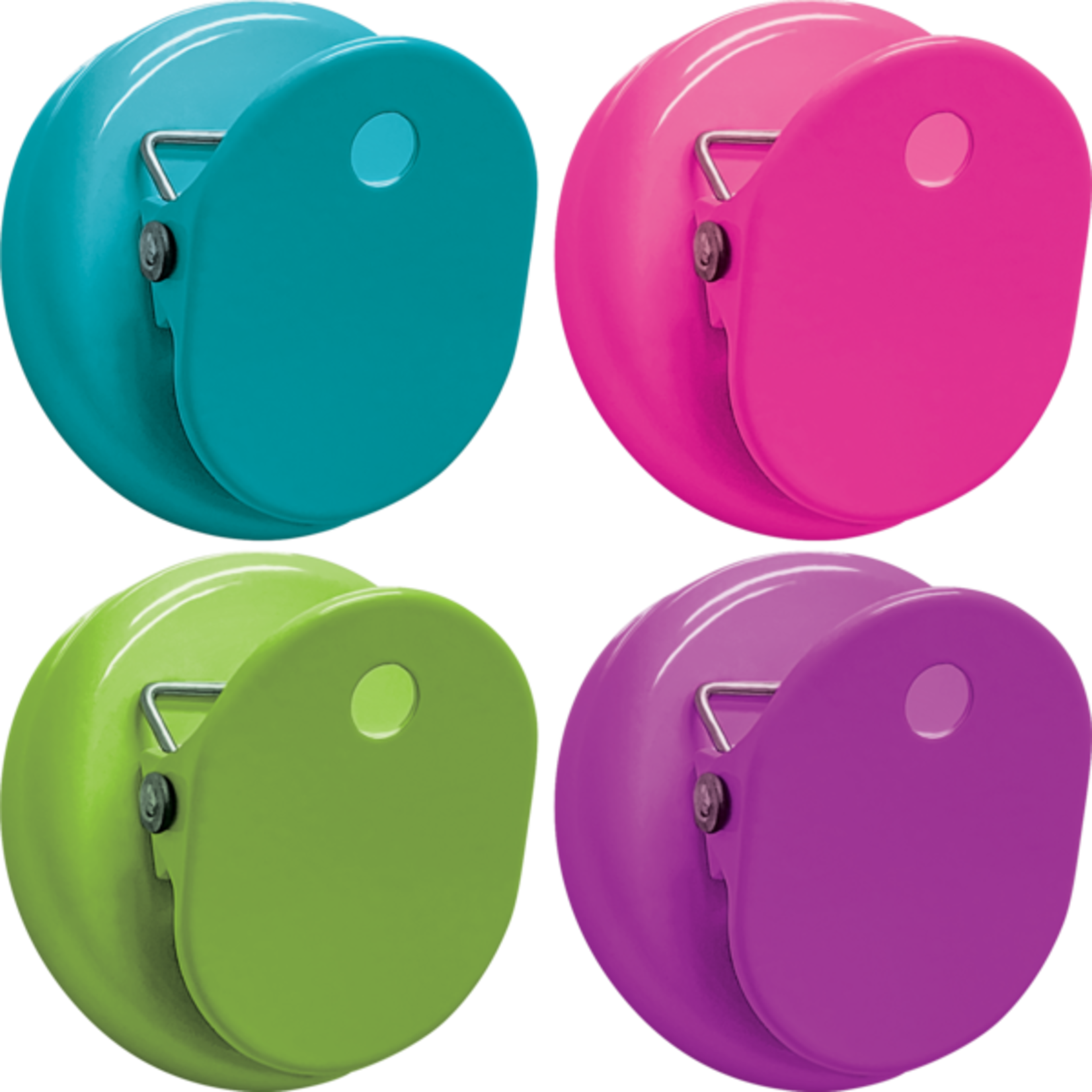 TEACHER CREATED RESOURCES Colorful Brights Magnetic Clips
