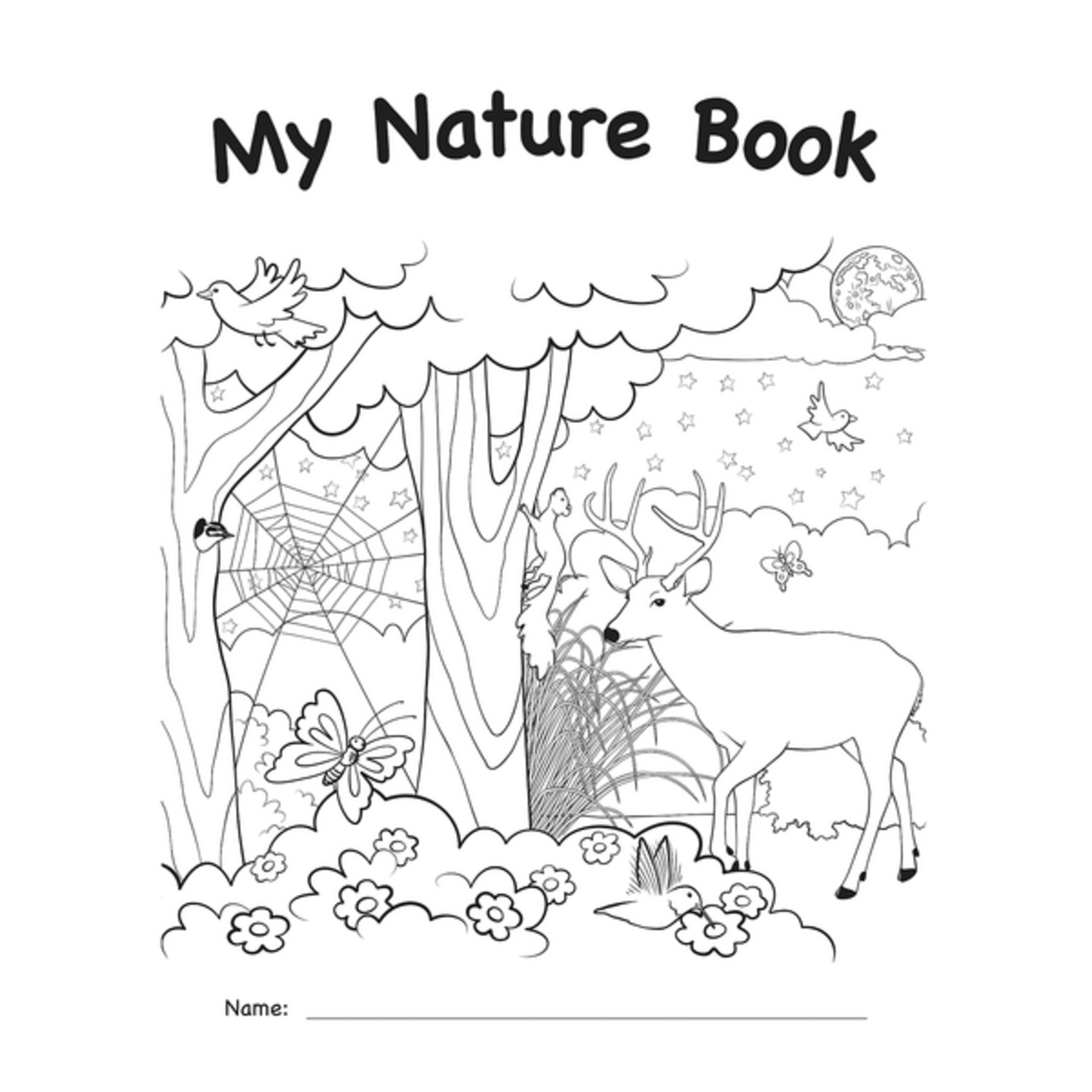 TEACHER CREATED RESOURCES My Own Books: My Nature Book