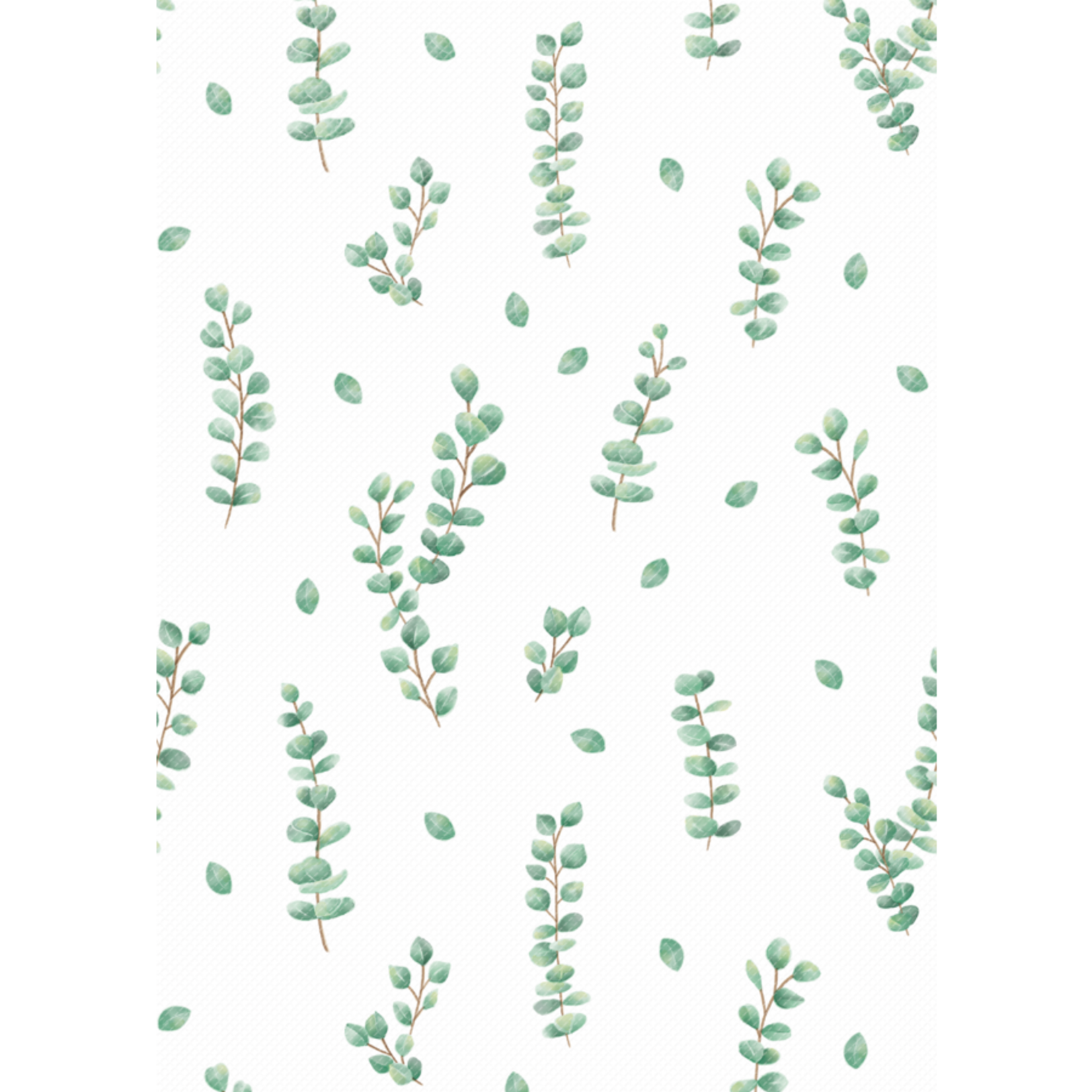 TEACHER CREATED RESOURCES Eucalyptus Better Than Paper Bulletin Board Roll