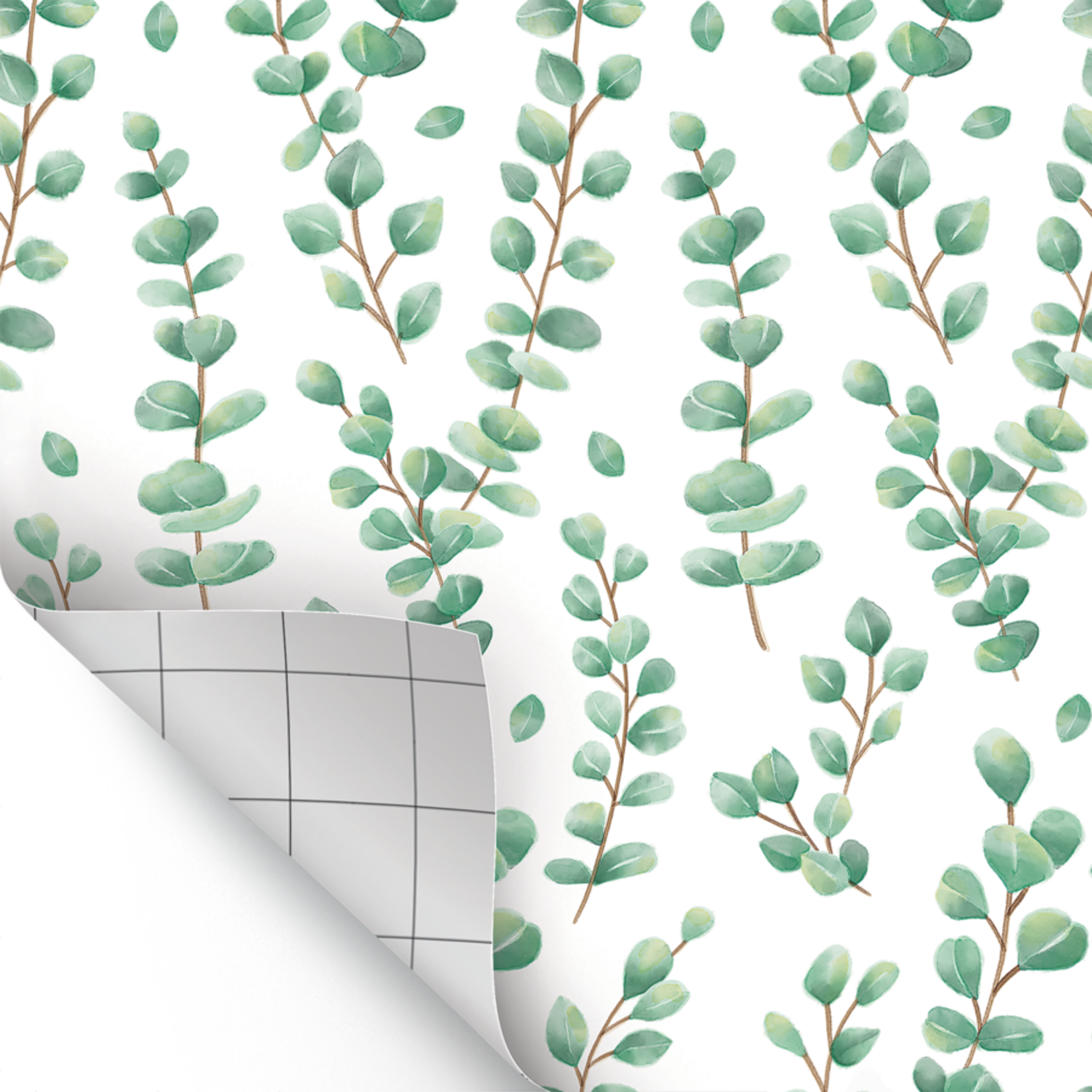 TEACHER CREATED RESOURCES Eucalyptus Peel and Stick Decorative Paper