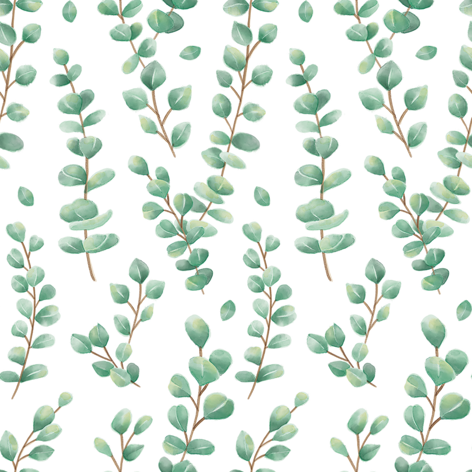 TEACHER CREATED RESOURCES Eucalyptus Peel and Stick Decorative Paper