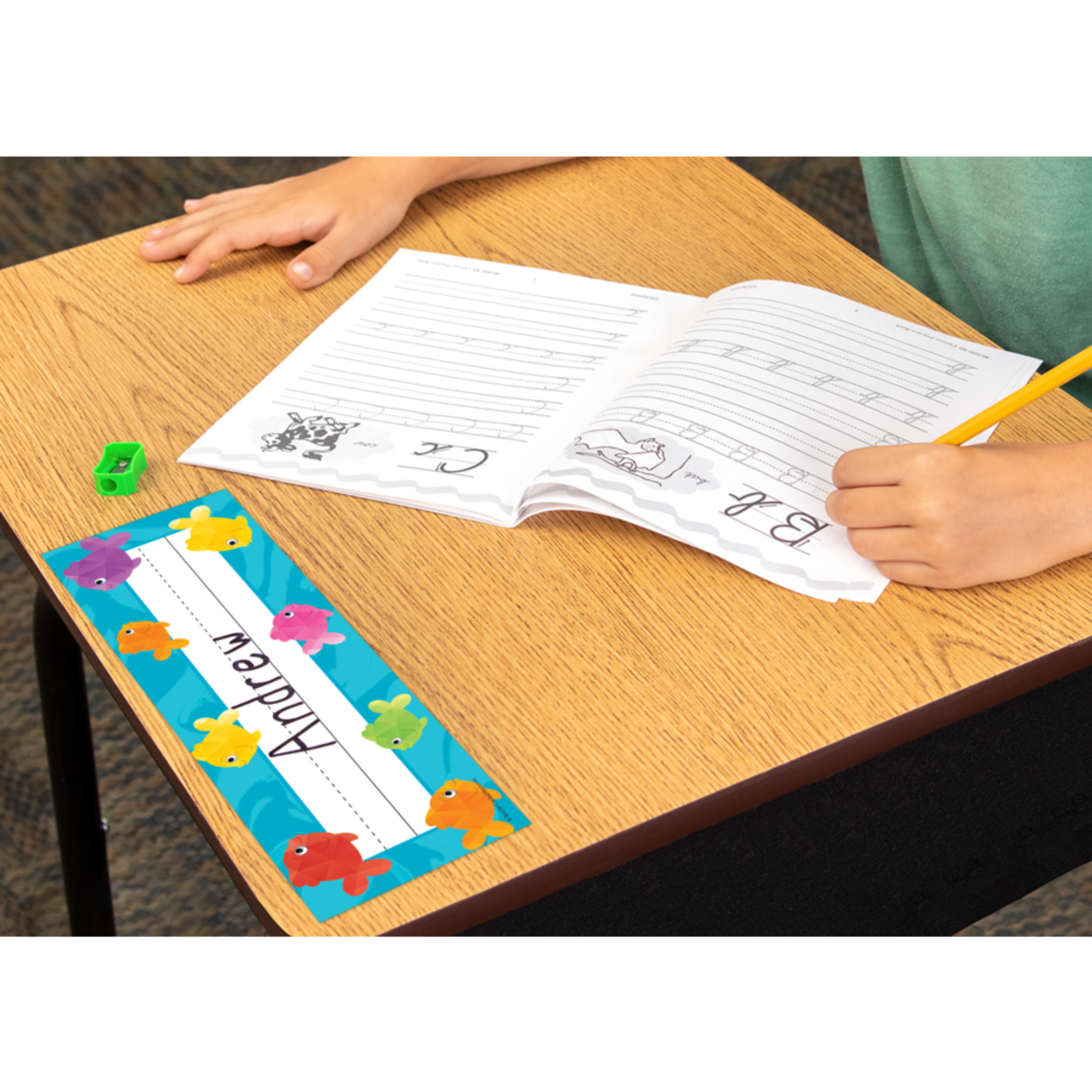 TEACHER CREATED RESOURCES Colorful Fish Flat Name Plates