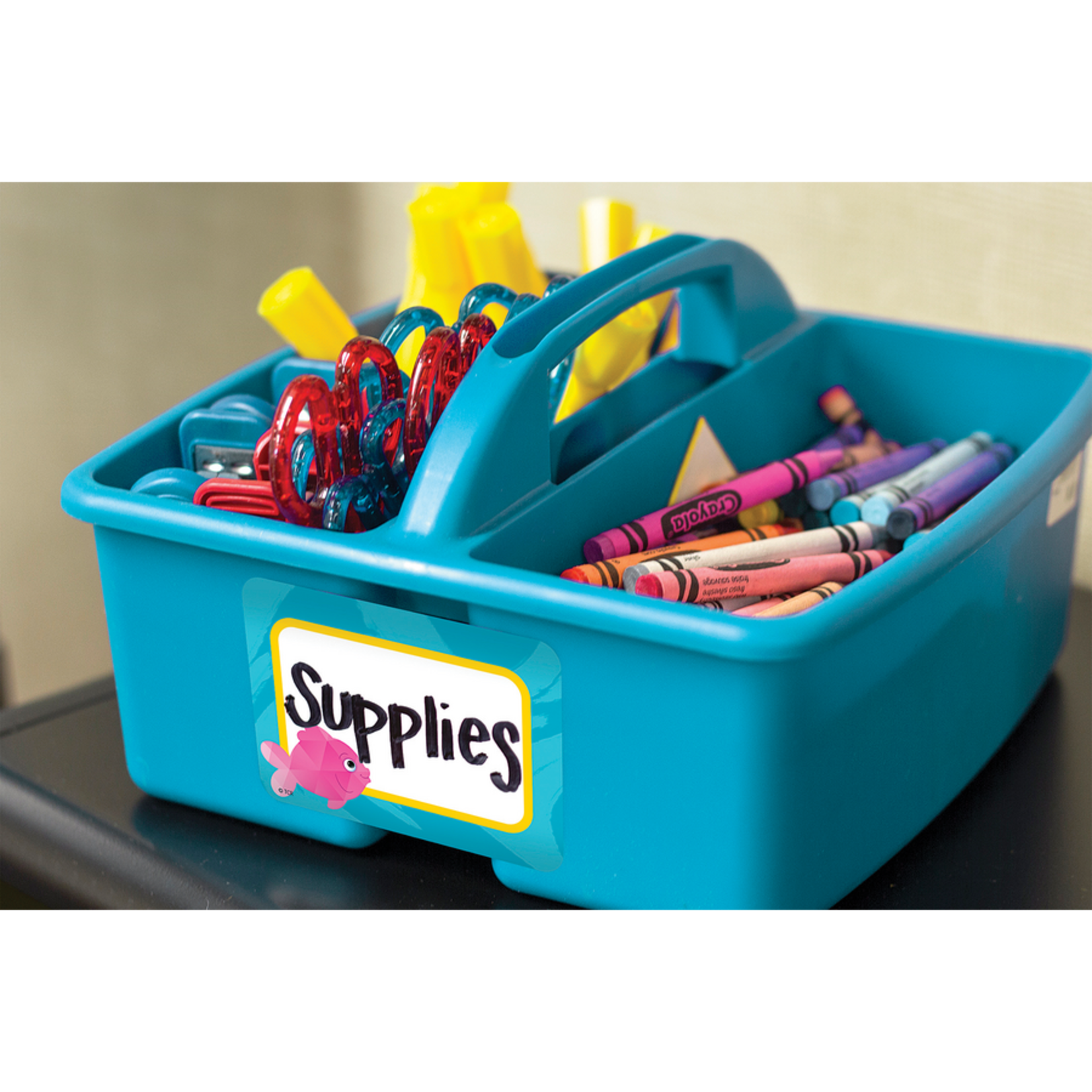 TEACHER CREATED RESOURCES Colorful Fish Name Tags/Labels - Multi-Pack