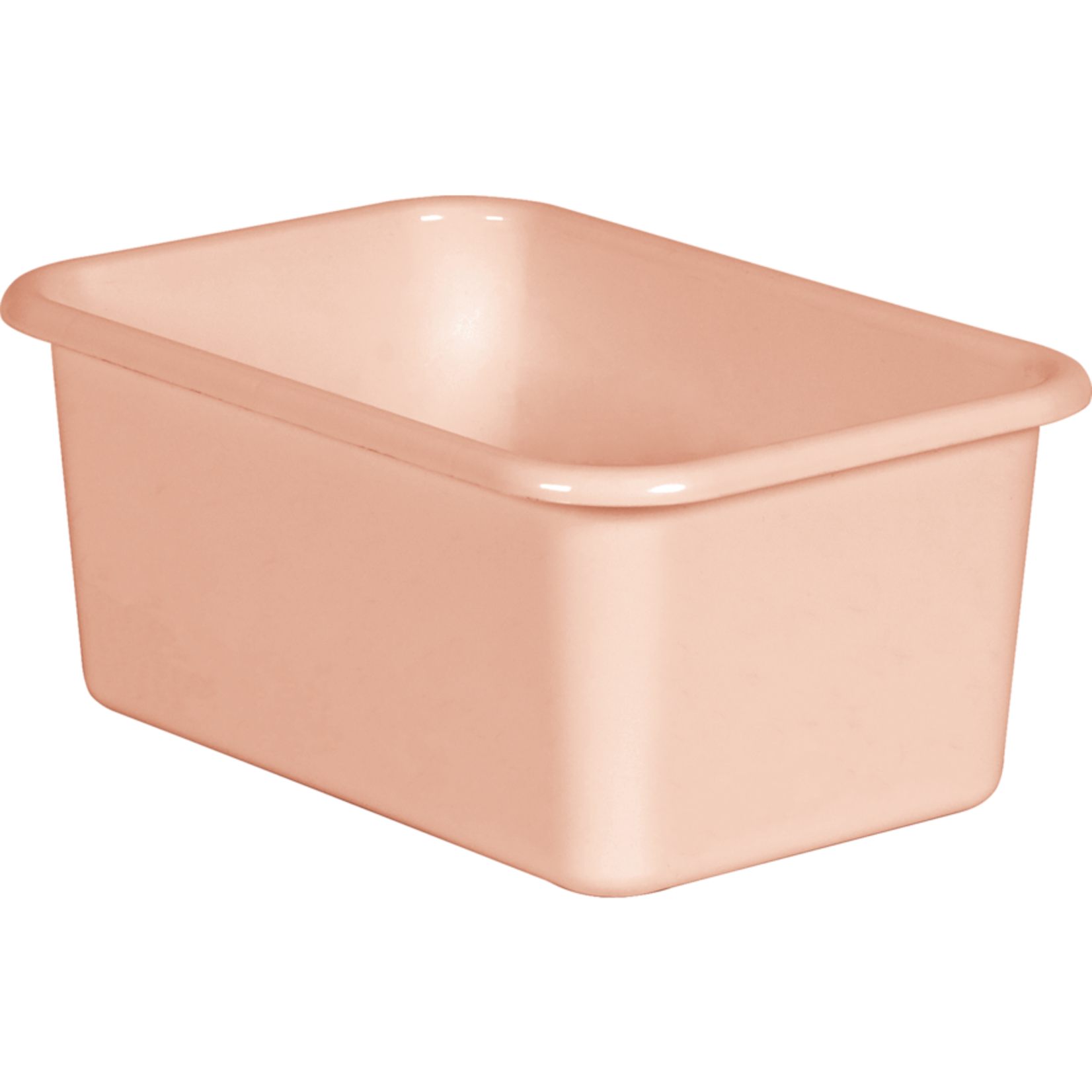 TEACHER CREATED RESOURCES Blush Small Plastic Storage Bin