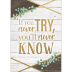 TEACHER CREATED RESOURCES CLM If You Never Try, You'll Never Know Positive Poster
