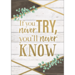 TEACHER CREATED RESOURCES If You Never Try, You'll Never Know Positive Poster
