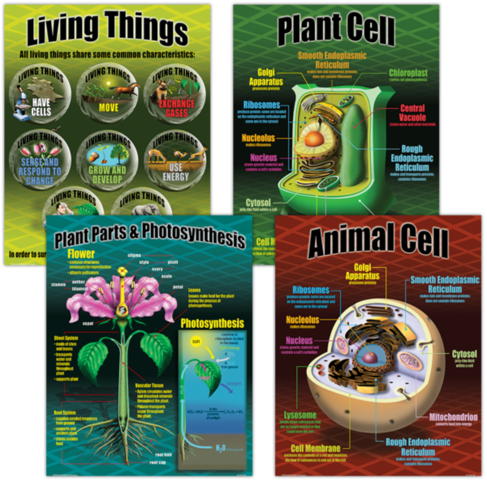 TEACHER CREATED RESOURCES Life Science Poster Set