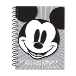 Mickey Mouse Throwback Lesson Plan Book