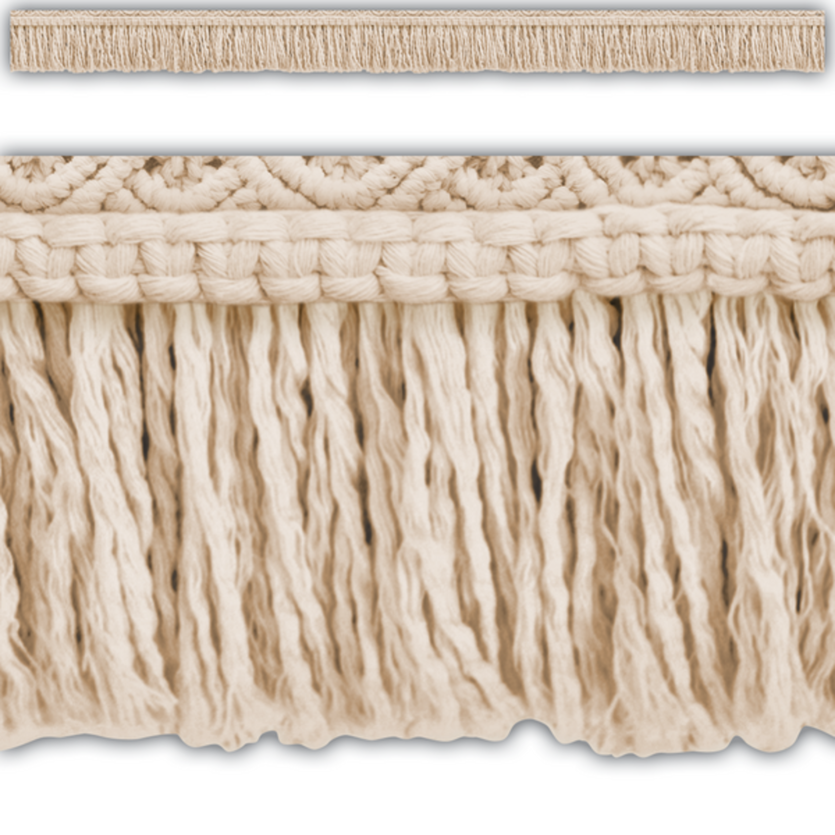 TEACHER CREATED RESOURCES Wonderfully Wild Fringe Die-Cut Border Trim