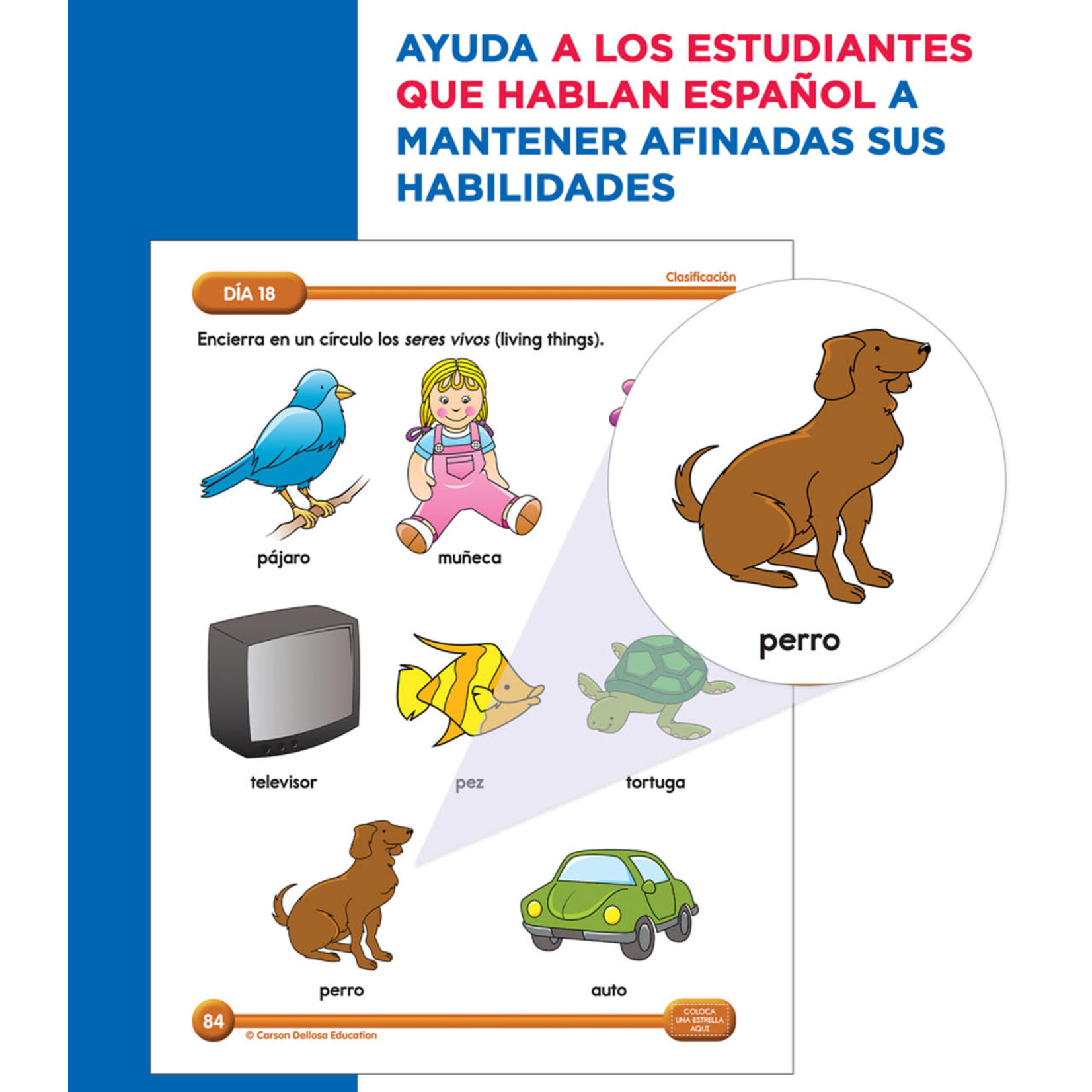CARSON DELLOSA PUBLISHING CO Summer Bridge Activities Spanish Grade PreK-K Workbook