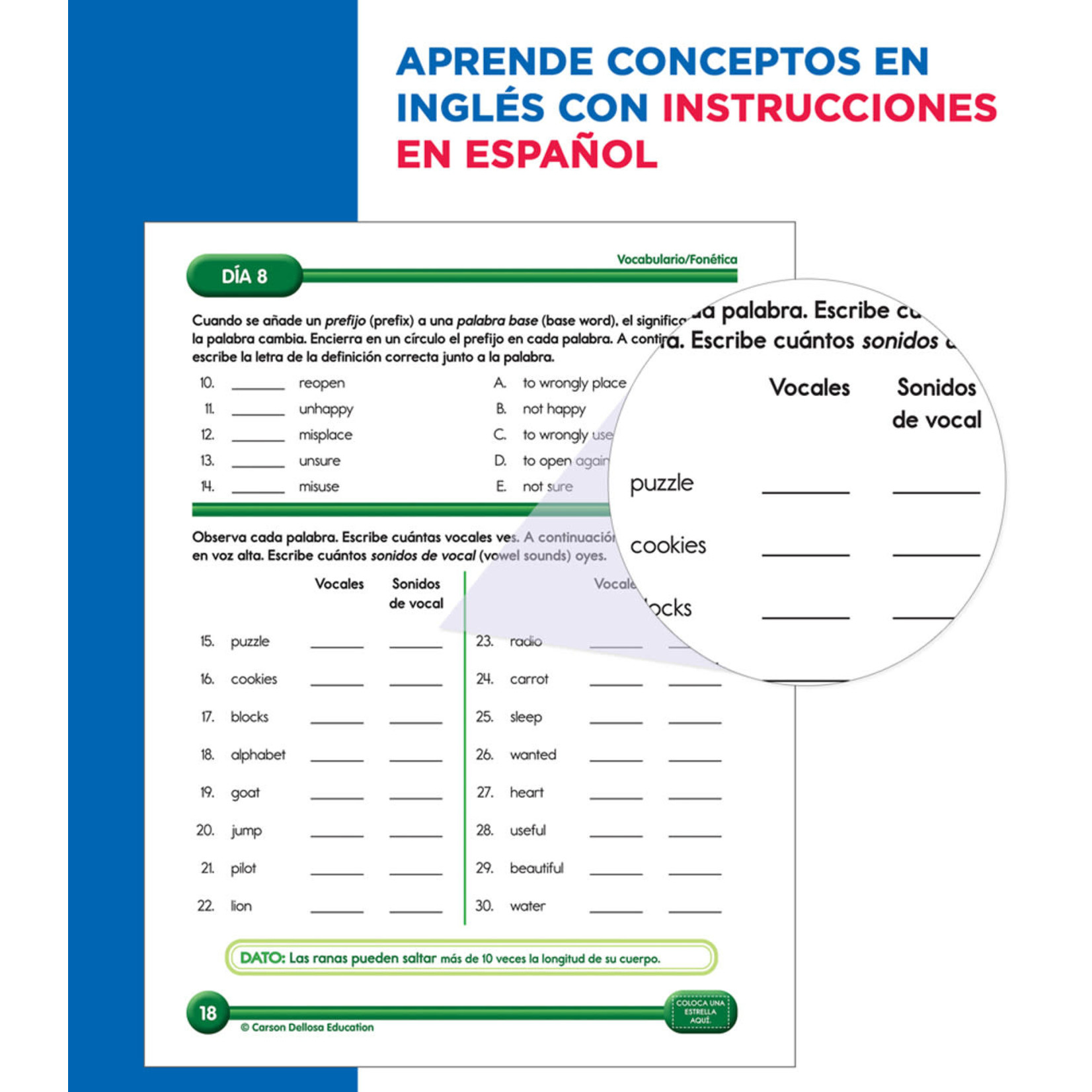 CARSON DELLOSA PUBLISHING CO Summer Bridge Activities Spanish Grade 2-3 Workbook