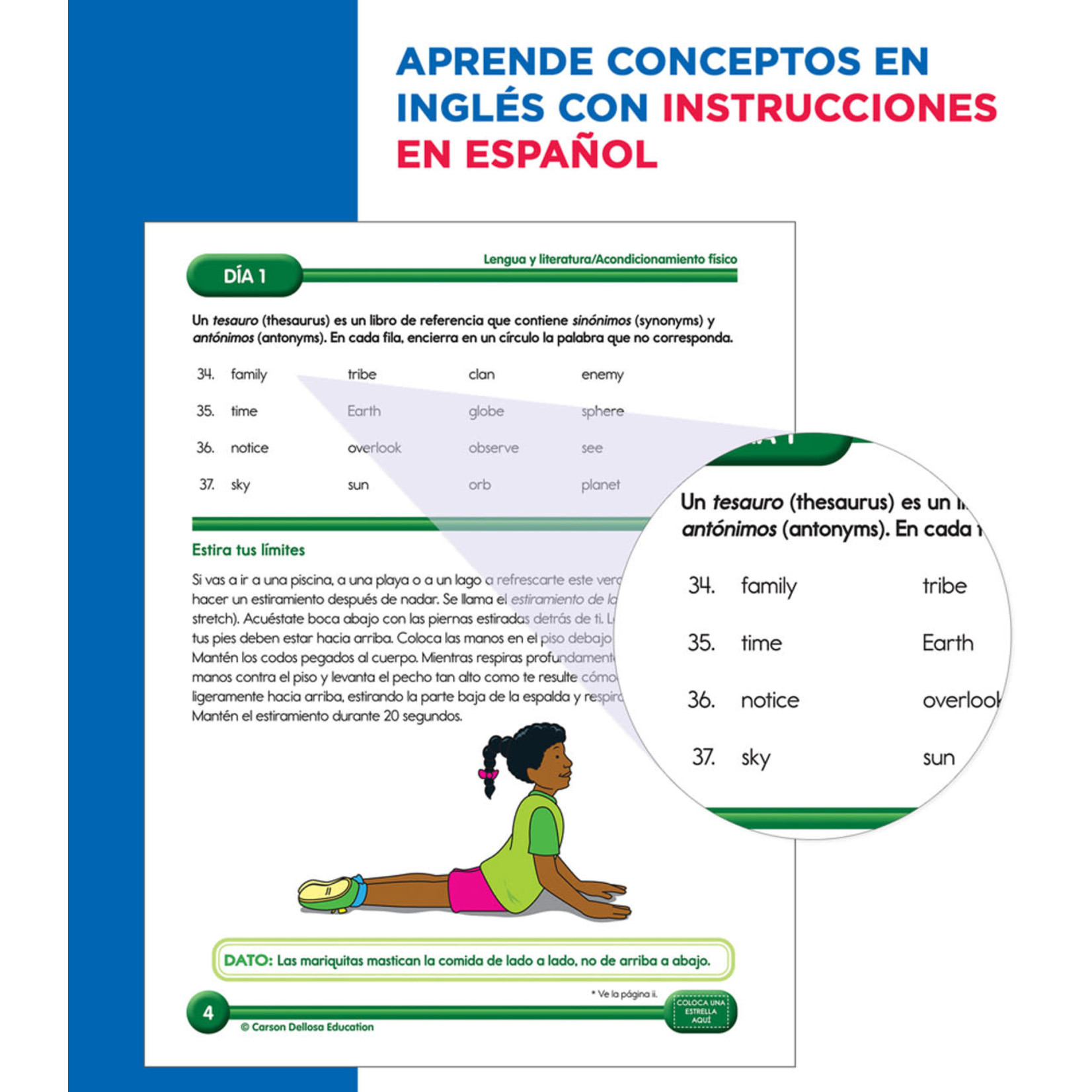 CARSON DELLOSA PUBLISHING CO Summer Bridge Activities Spanish Grade 4-5 Workbook