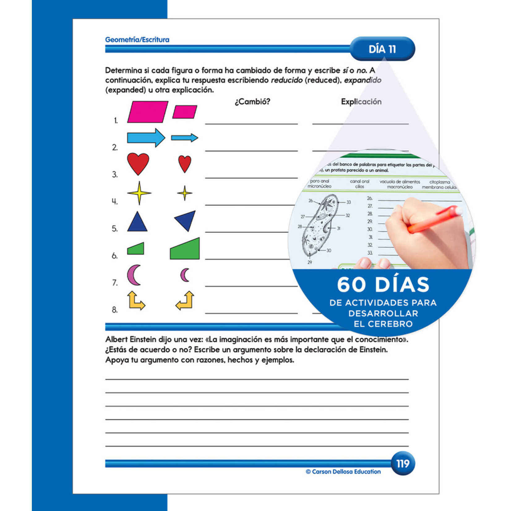 CARSON DELLOSA PUBLISHING CO Summer Bridge Activities Spanish Grade 7-8 Workbook