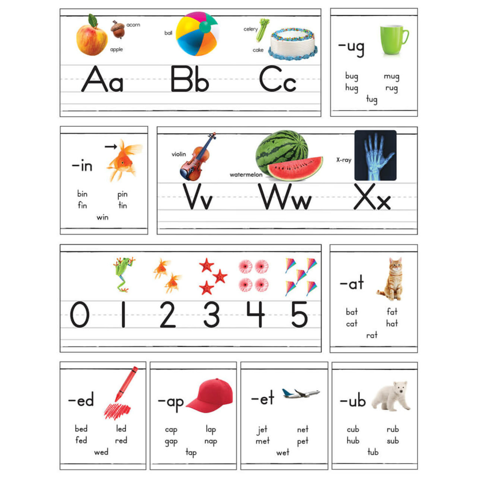 CARSON DELLOSA PUBLISHING CO Photographic Alphabet Line Bulletin Board Set Grade PK-2