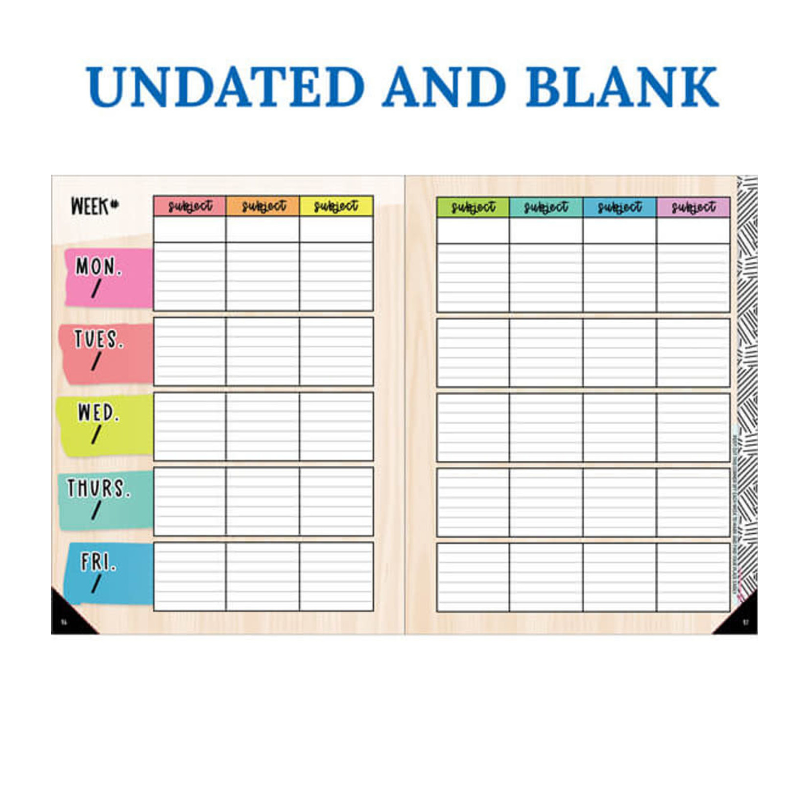 CARSON DELLOSA PUBLISHING CO Creatively Inspired Teacher Planner