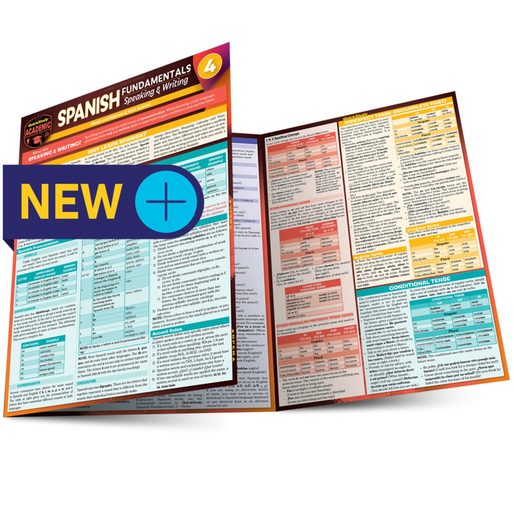 BAR CHARTS QuickStudy: Spanish Fundamentals 4 Laminated Study Guide