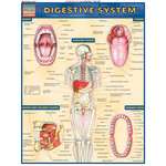 BAR CHARTS QuickStudy | Digestive System Laminated Study Guide