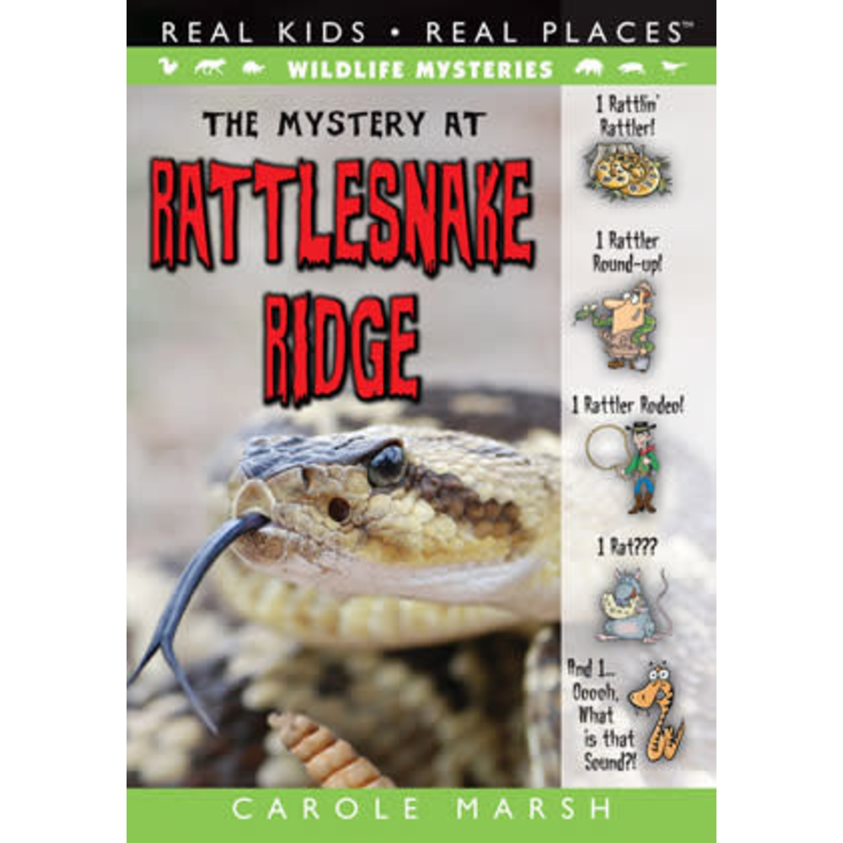 The Mystery at Rattlesnake Ridge