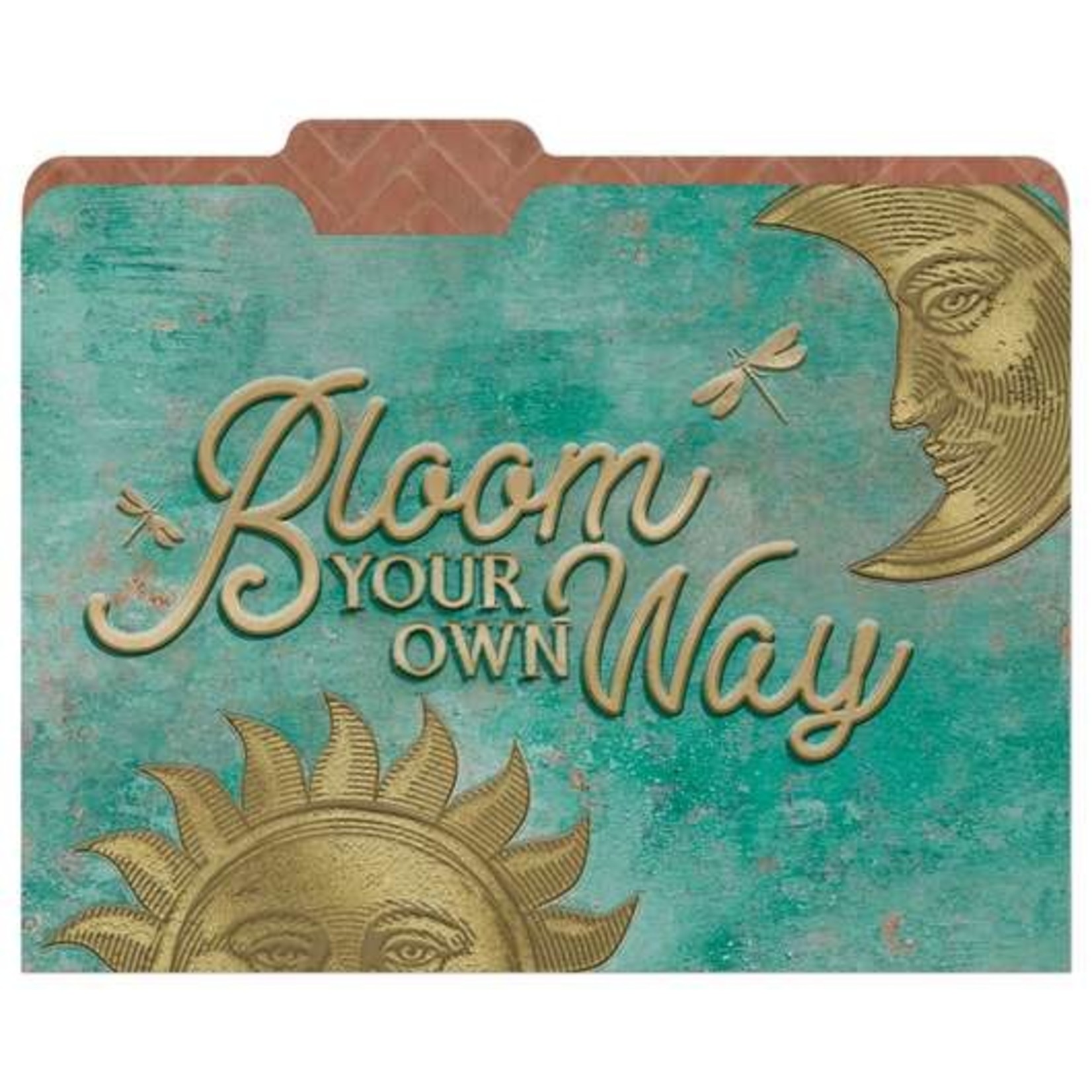 Curiosity Garden File Folders, Set of 4