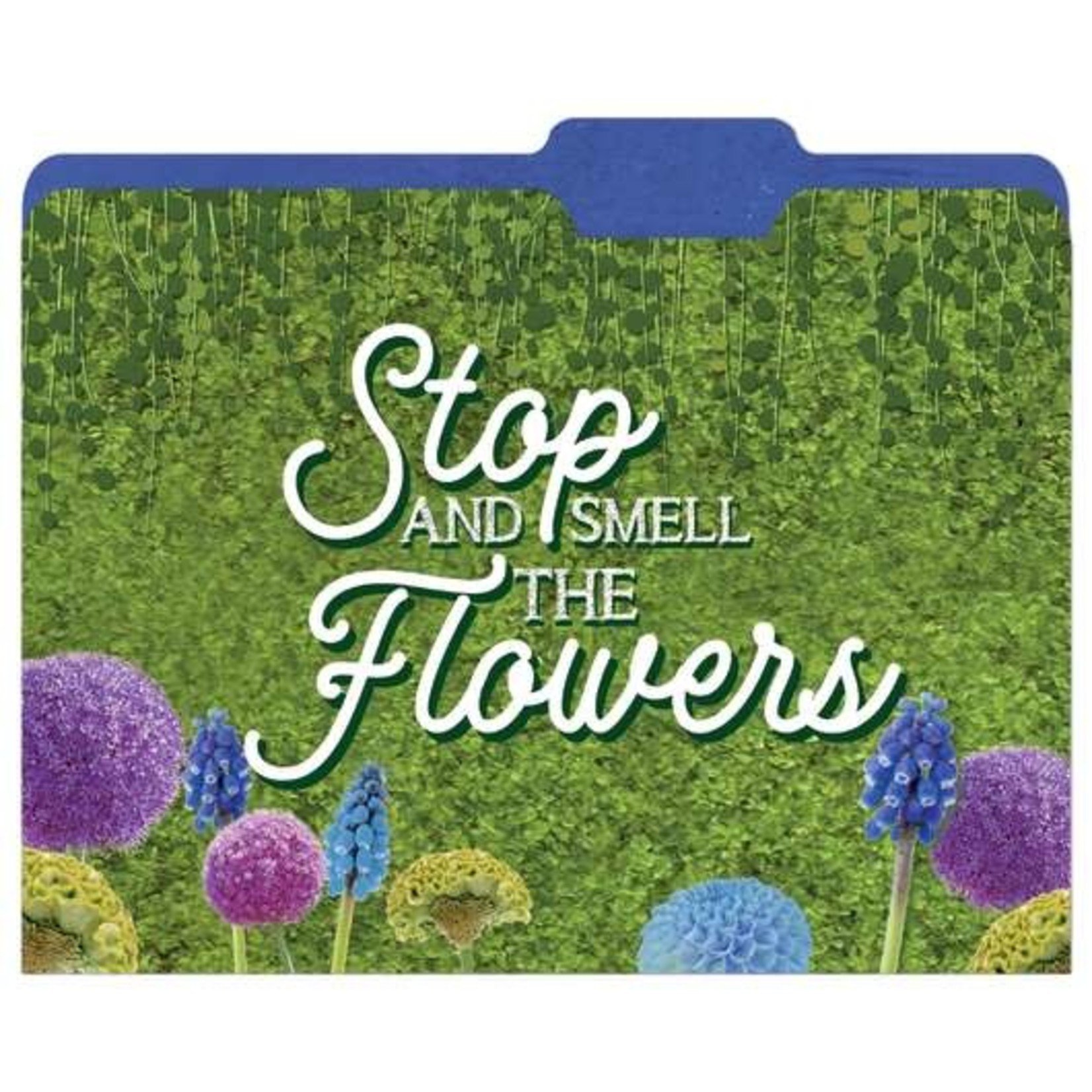Curiosity Garden File Folders, Set of 4