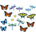 NORTH STAR TEACHER RESOURCES Butterflies & Dragonflies Accents
