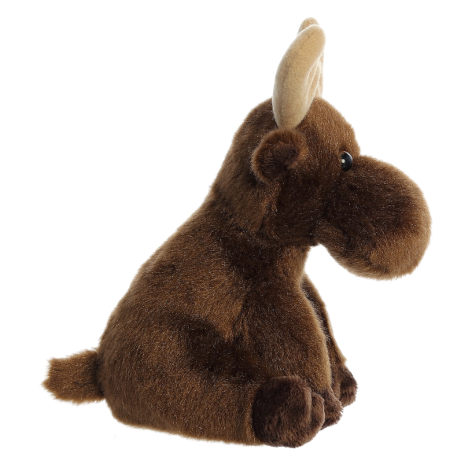 AURORA Lil Monty Moose