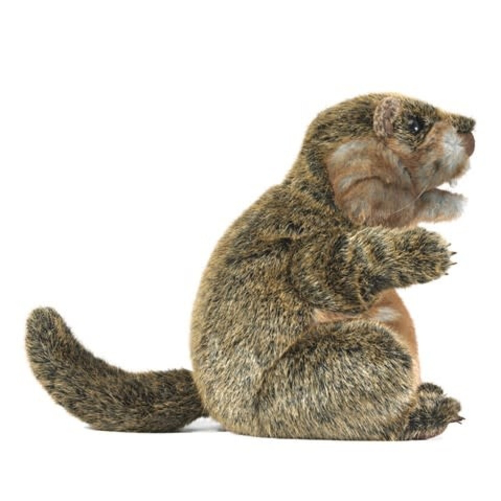 Groundhog Puppet