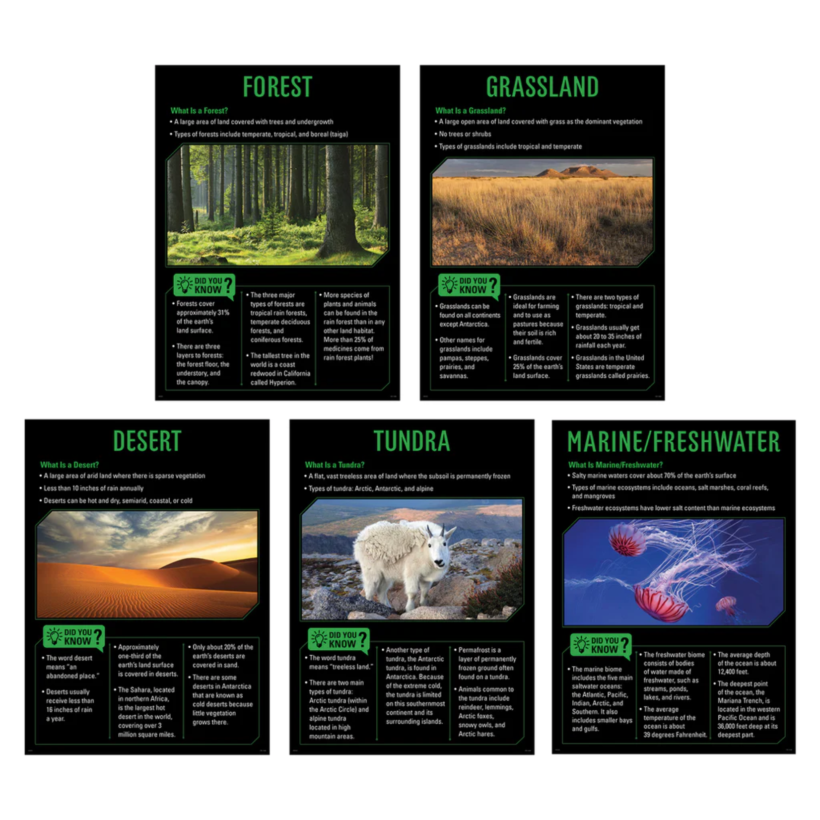 CREATIVE TEACHING PRESS Ecosystems 5-Poster Set