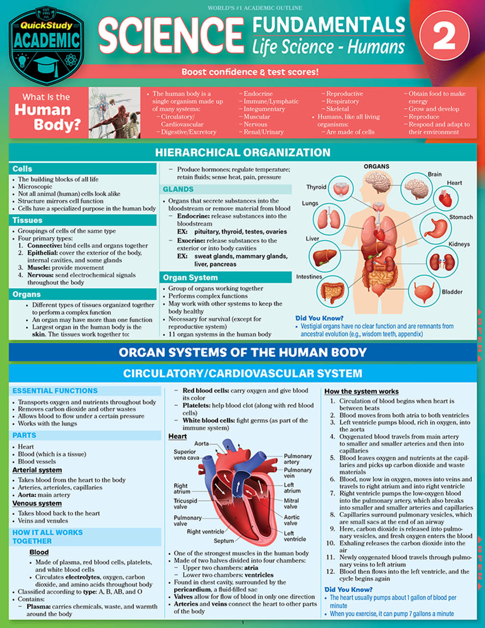 SCIENCE FUNDAMENTALS 2 - LIFE SCIENCE HUMANS - Educational Outfitters