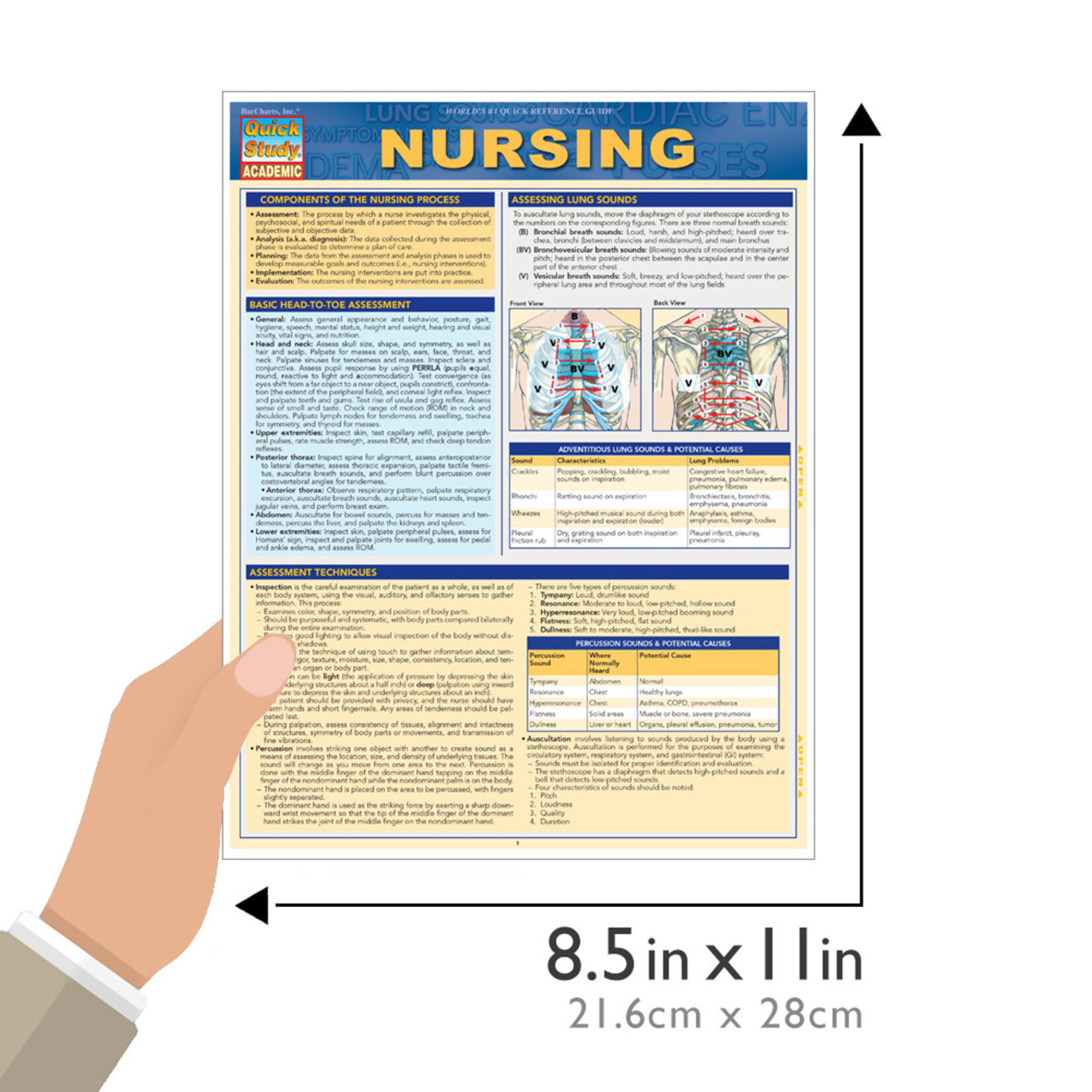 BAR CHARTS QuickStudy | Nursing Laminated Study Guide
