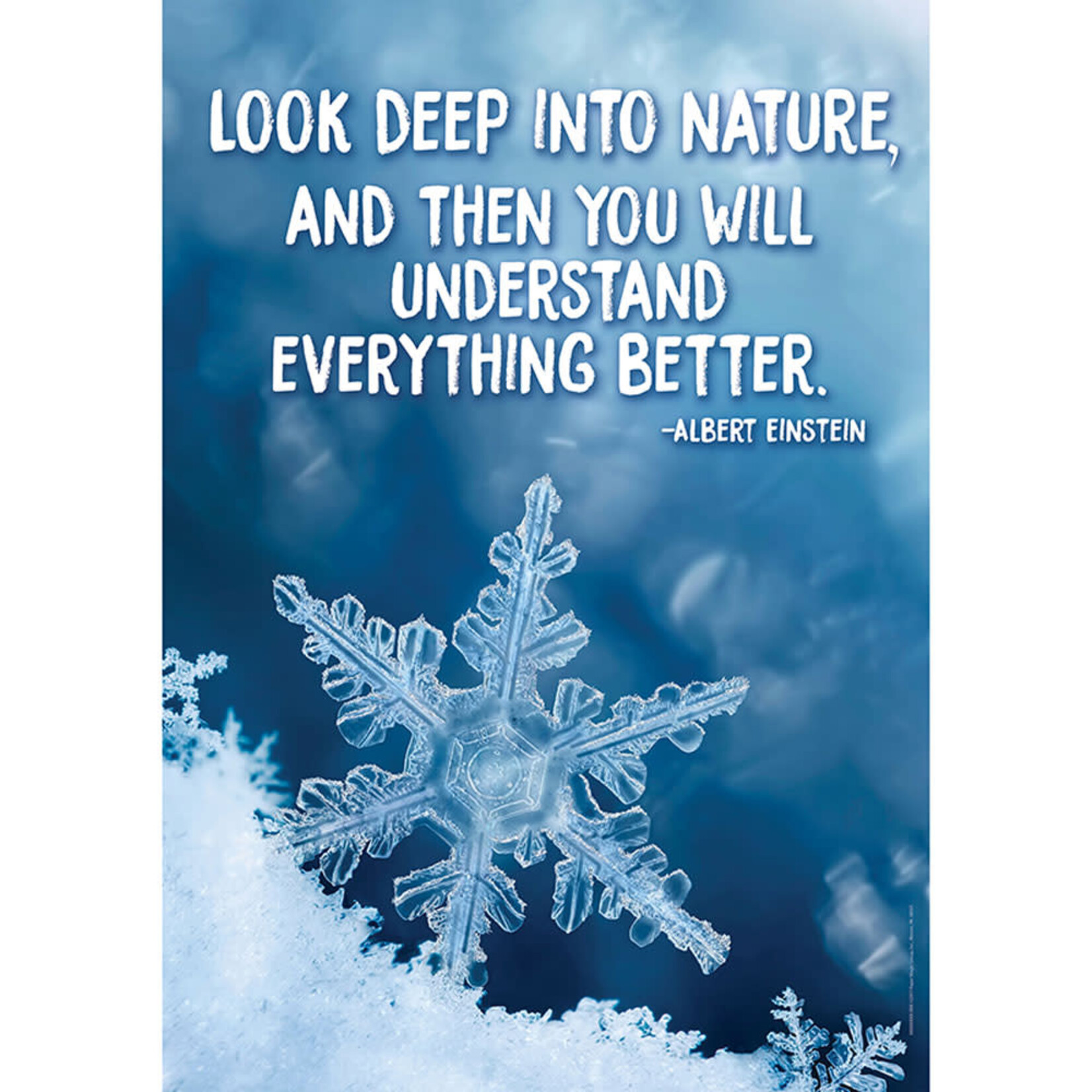 Look Deep Into Nature Poster