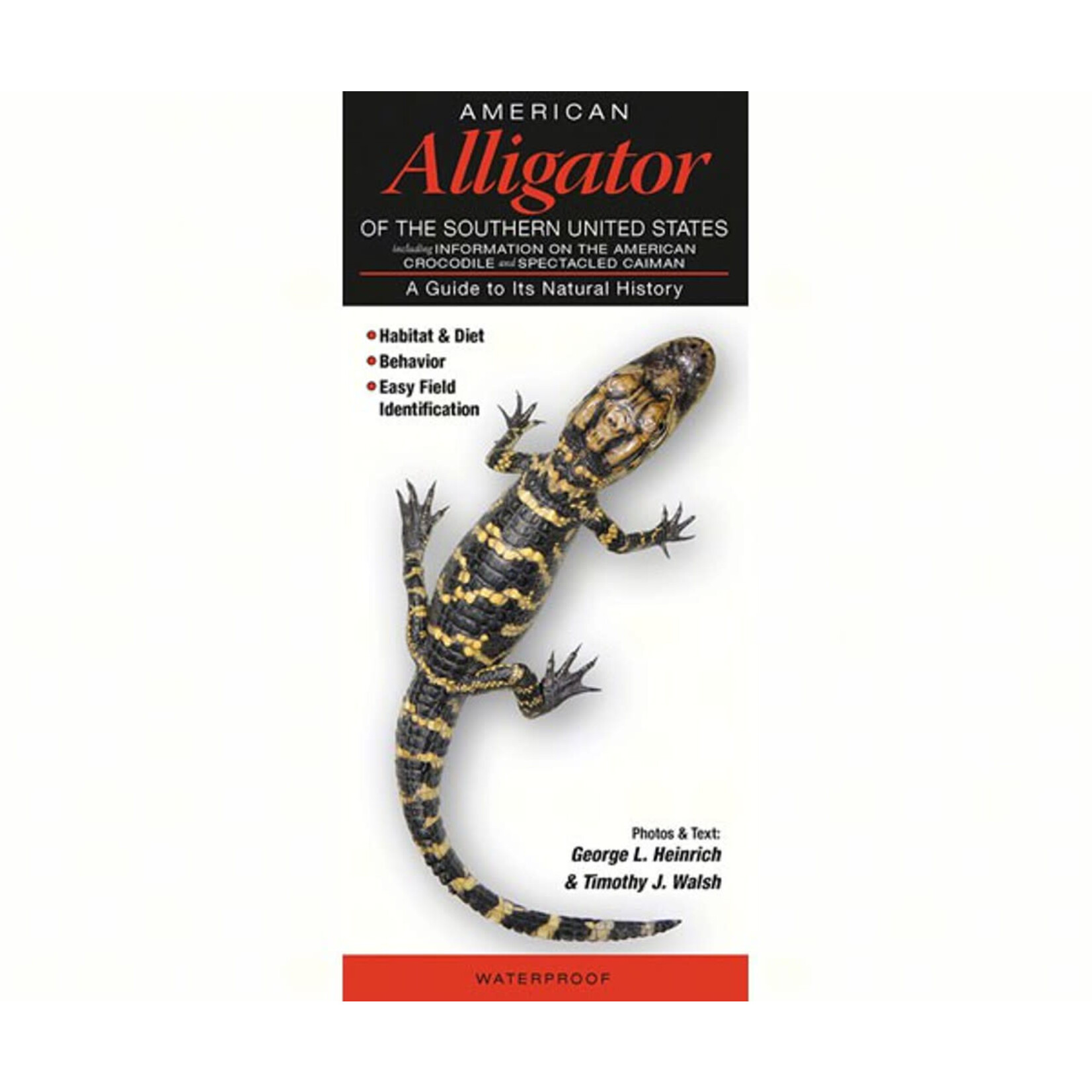 QUICK REFERENCE PUBLISHING - American Alligator of the Southern U.S. Guide Book