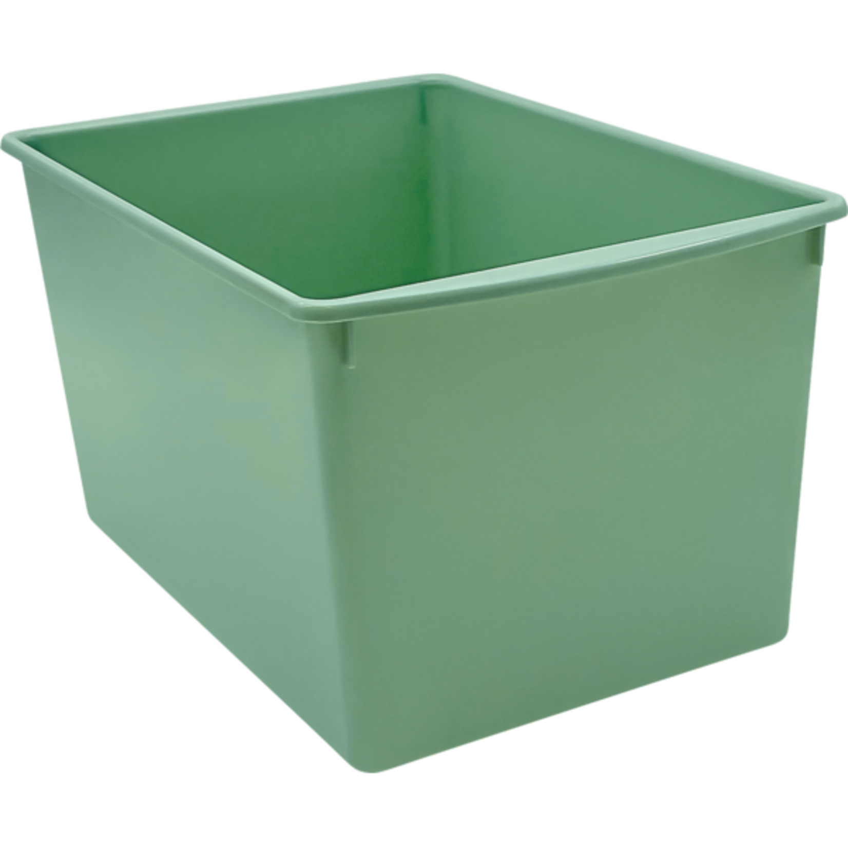 TEACHER CREATED RESOURCES Eucalyptus Green Plastic Multi-Purpose Bin
