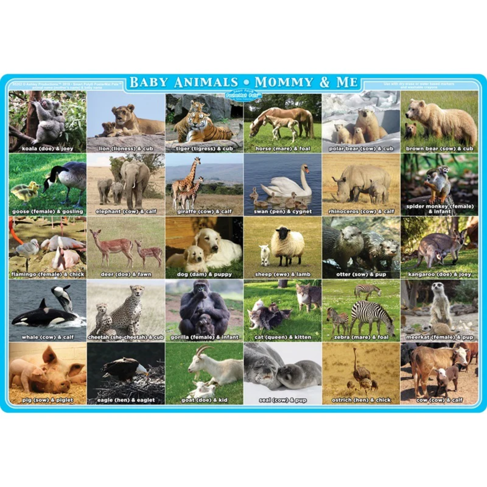 ASHLEY INCORPORATED Smart Poly Single Sided Postermat Pals, Mommy And Me Animals, 12" X 17.25"