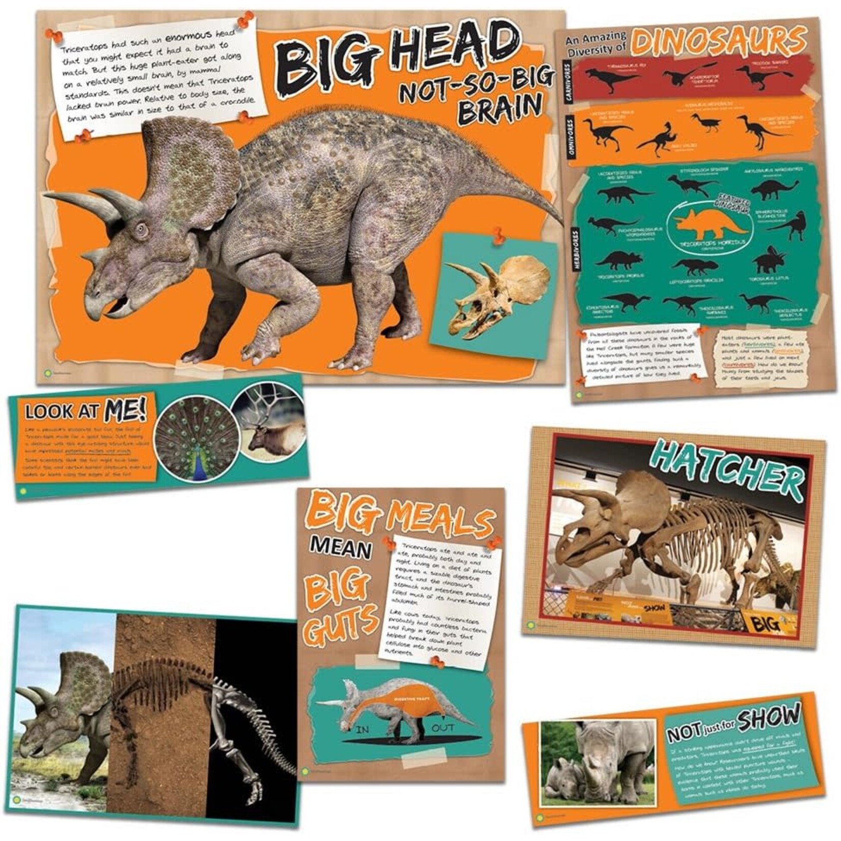 Amazing Dinosaurs Bulletin Board Set