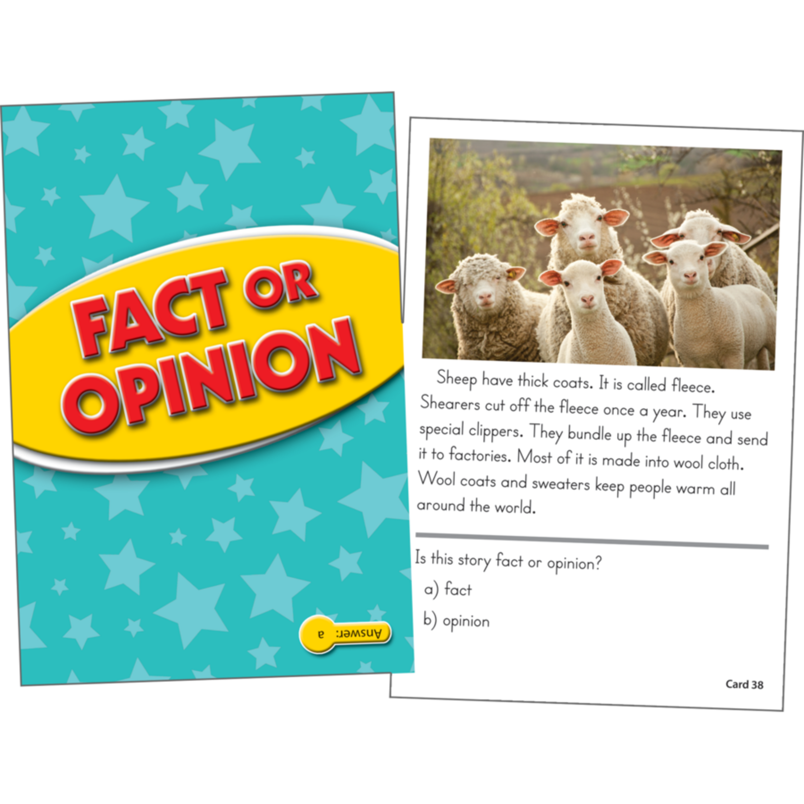 TEACHER CREATED RESOURCES Fact or Opinion Practice Cards Yellow Level