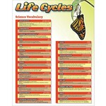 CARSON DELLOSA PUBLISHING CO Science Vocabulary: Life Cycles Chartlet