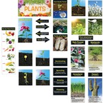 CREATIVE TEACHING PRESS Plants Mini Bulletin Board Set Gr K-2