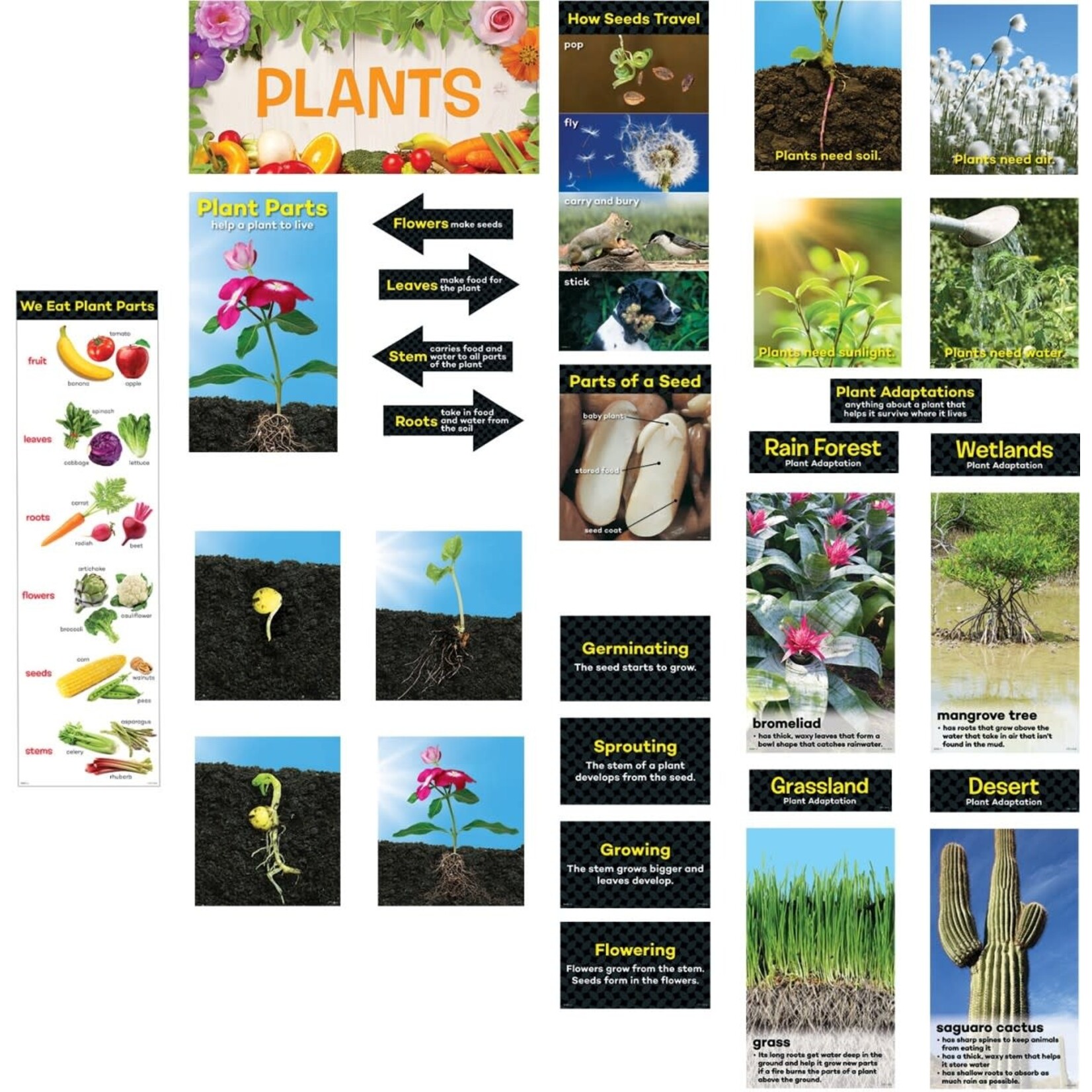 CREATIVE TEACHING PRESS Plants Mini Bulletin Board Set Gr K-2