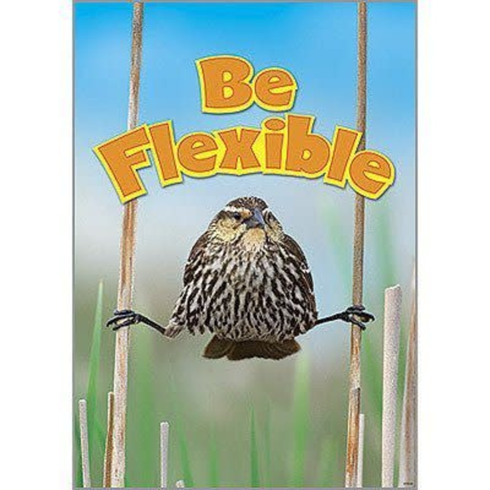 TREND ENTERPRISES INC Be Flexible Poster