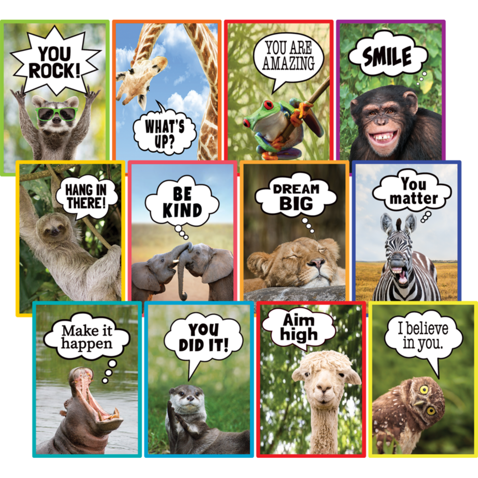 TEACHER CREATED RESOURCES Go Wild Animals Small Poster Pack