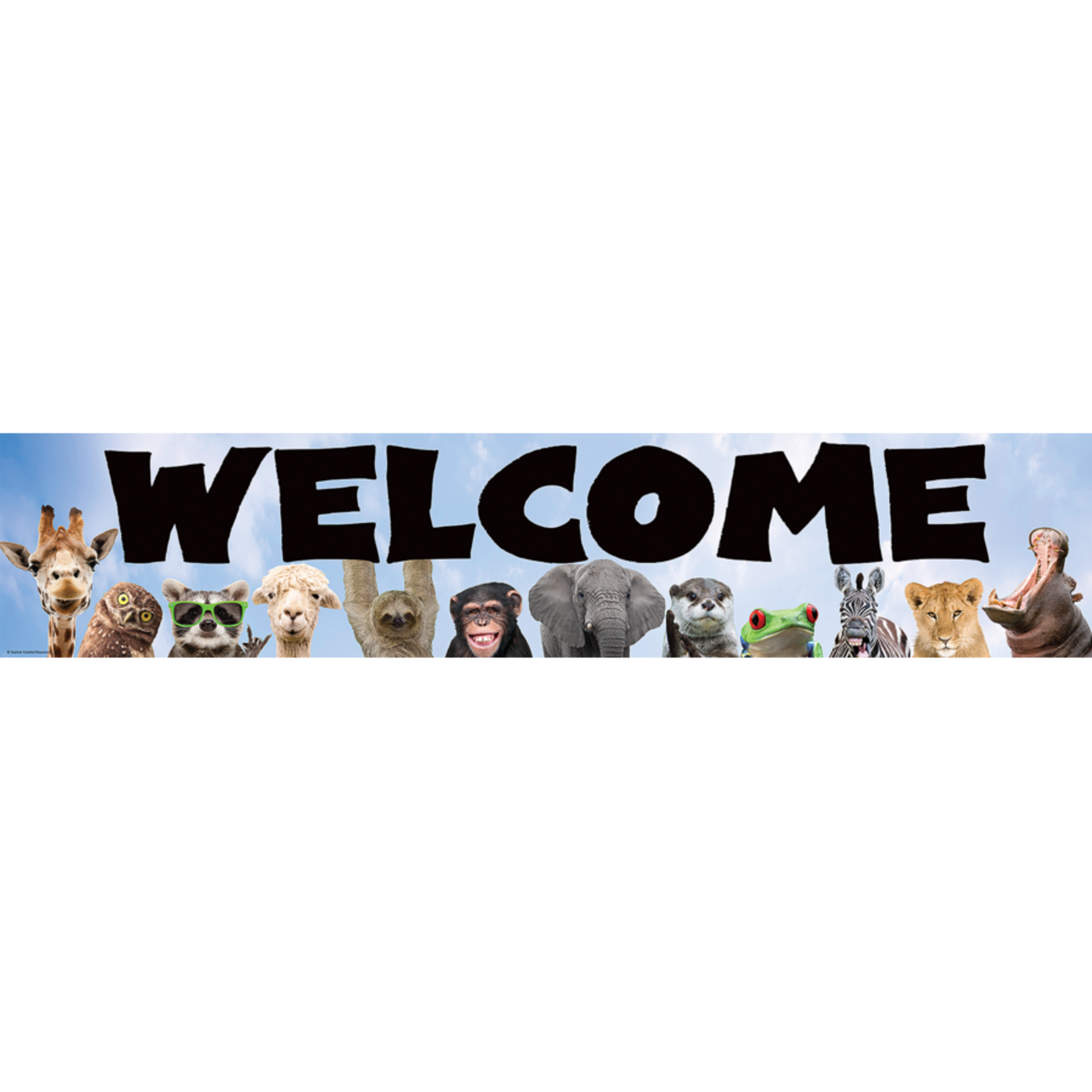 TEACHER CREATED RESOURCES Go Wild Animals Welcome Banner