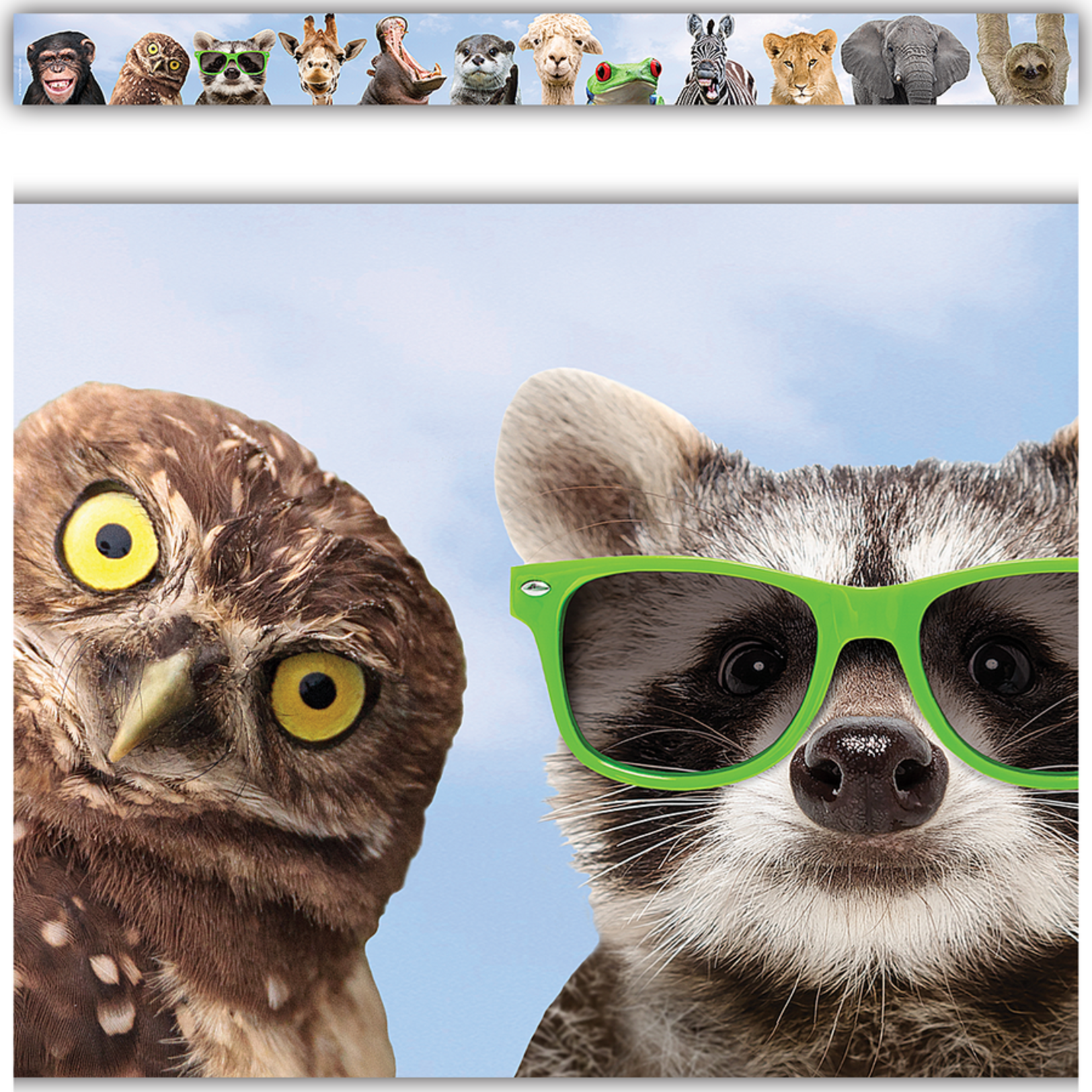 TEACHER CREATED RESOURCES Go Wild Animals Straight Border Trim