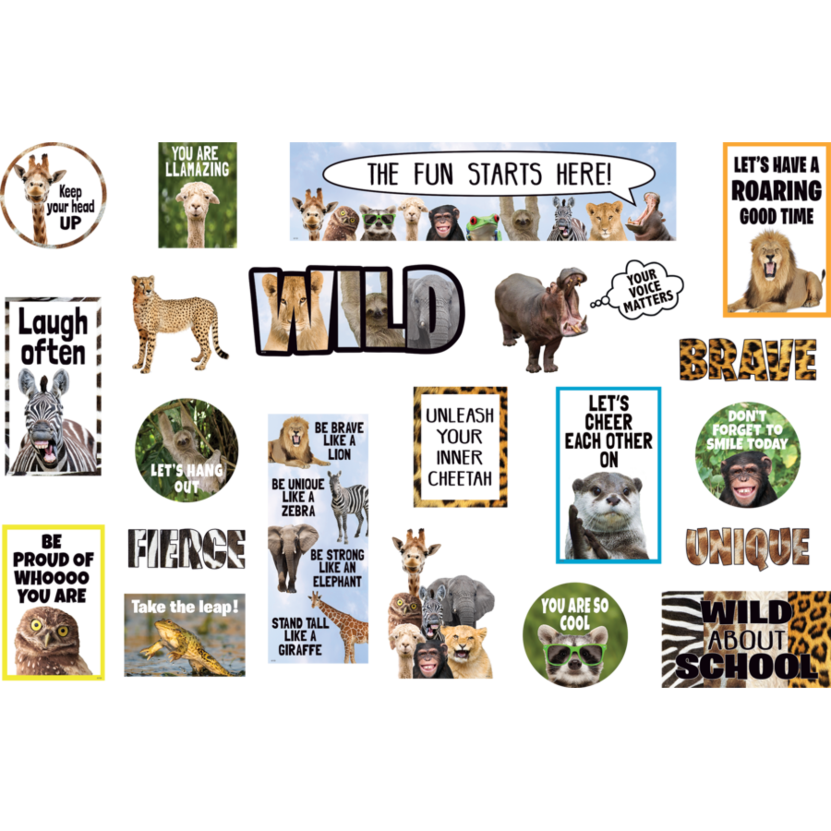 TEACHER CREATED RESOURCES Go Wild Animals Mini Bulletin Board