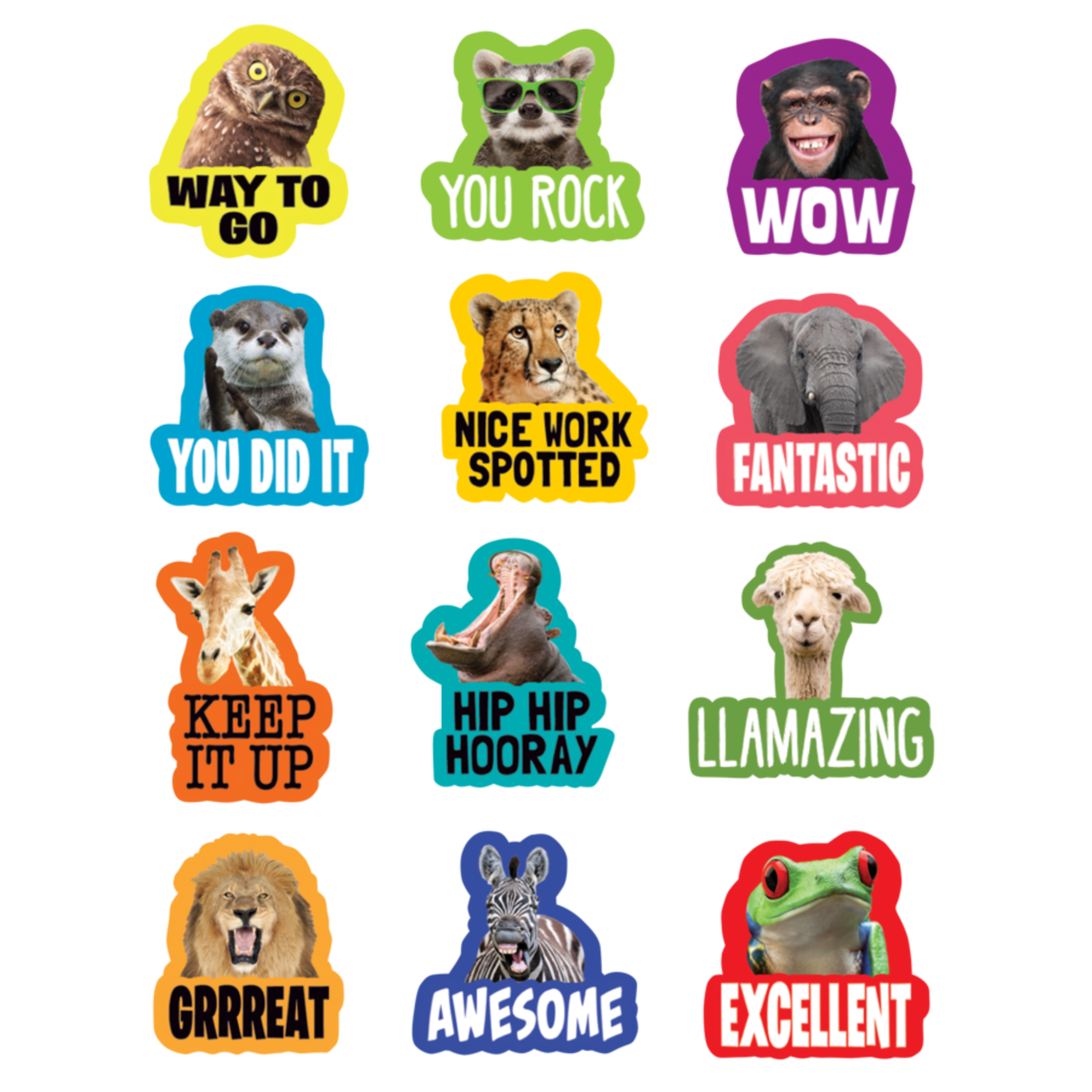 TEACHER CREATED RESOURCES Go Wild Animals Stickers