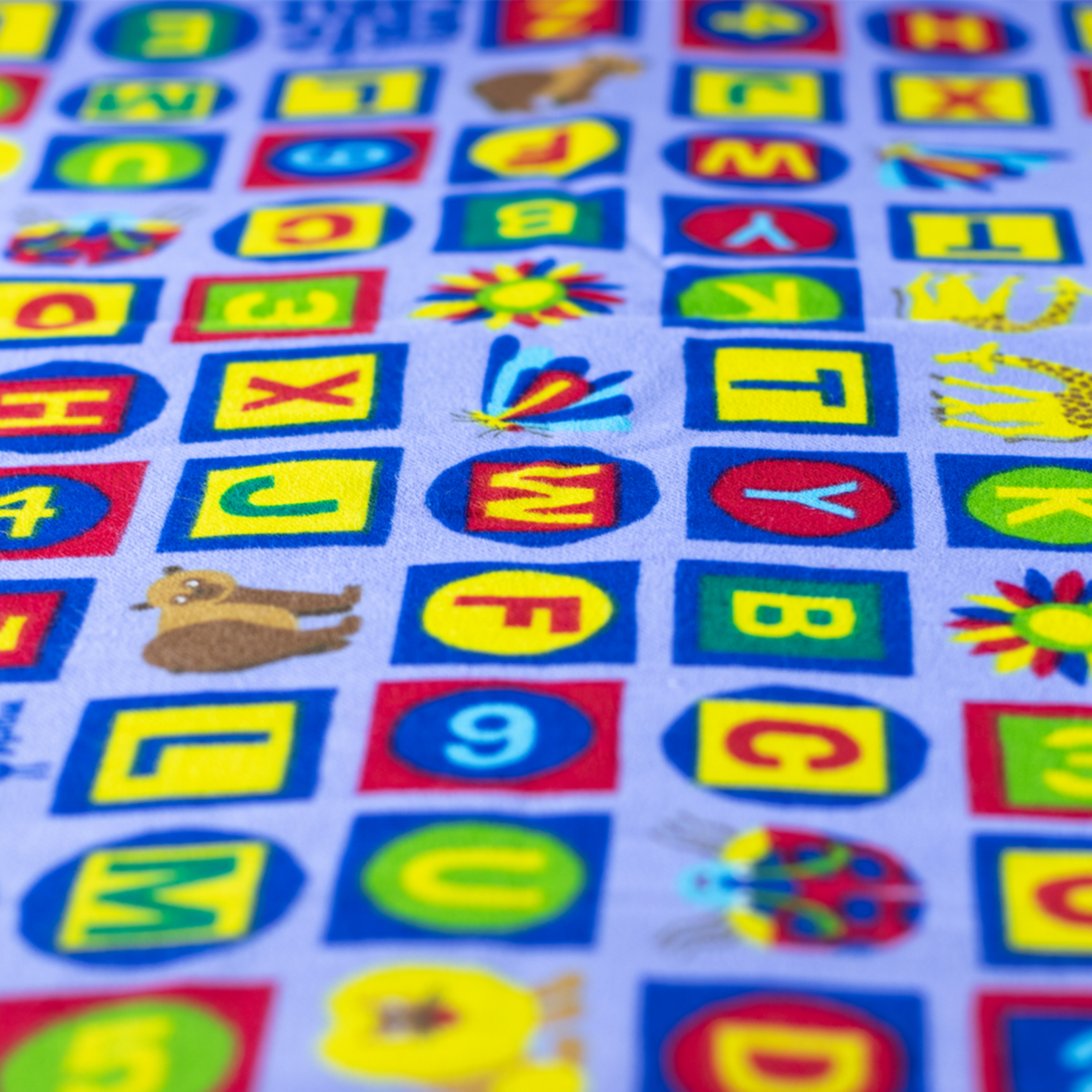 Eric Carle Alphabet and Numbers Kindermat Sheet